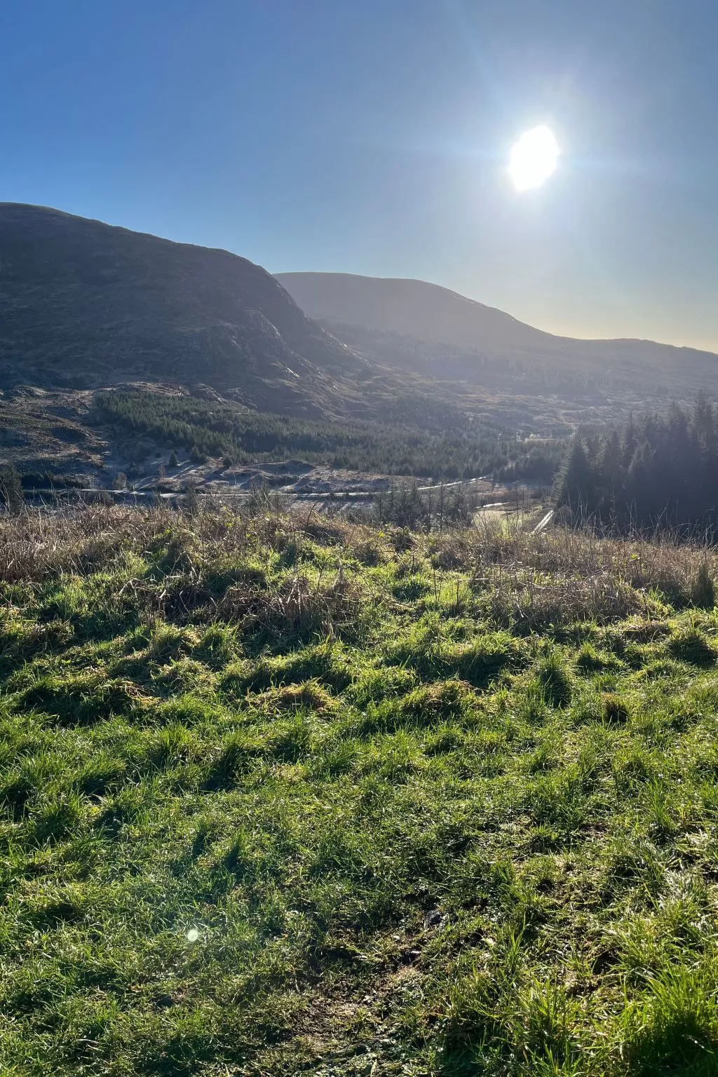 Apfel-Häuschen-Outside