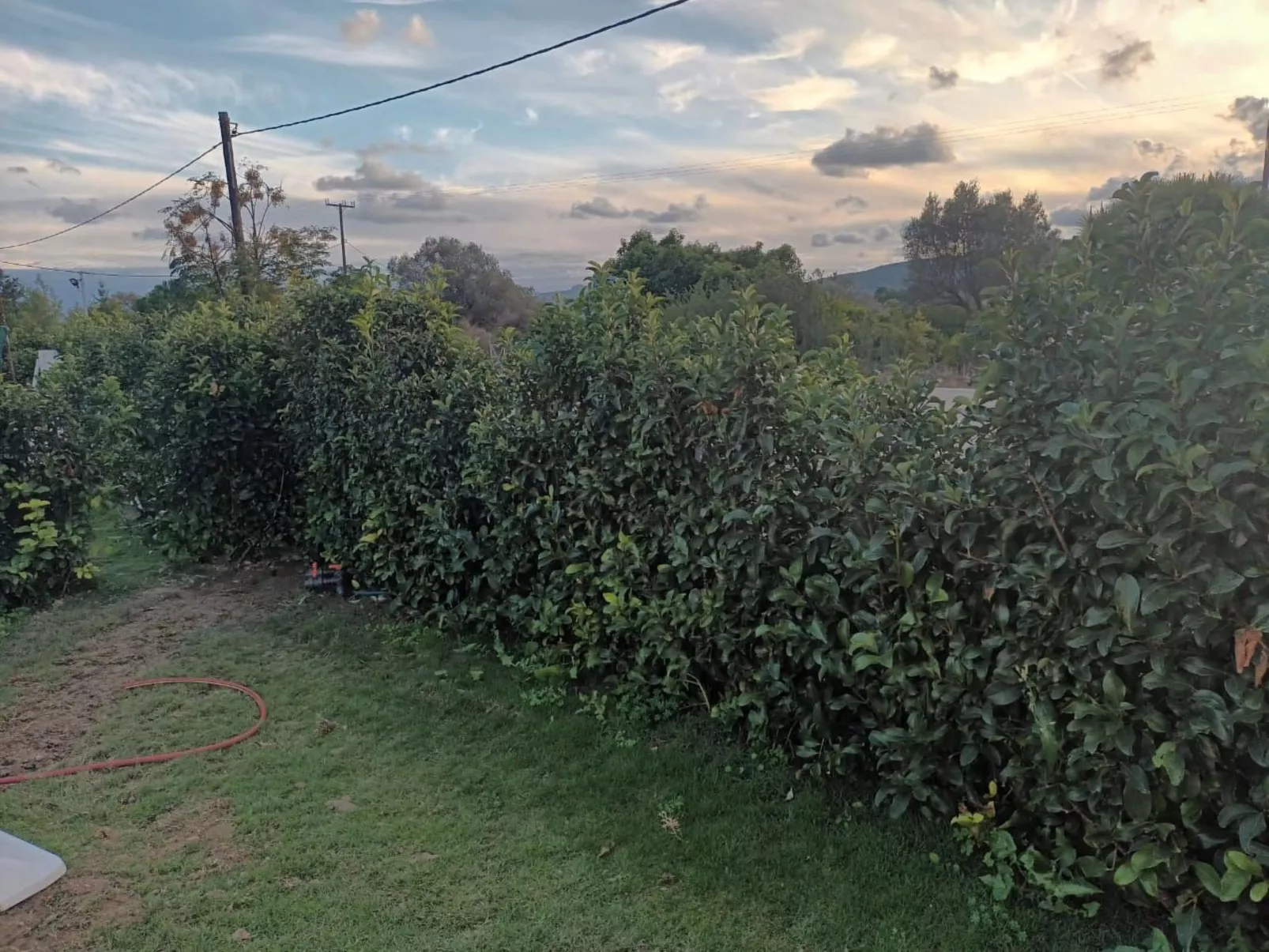 Ferienvilla "New Ossiano Pool"-Image-tags.info