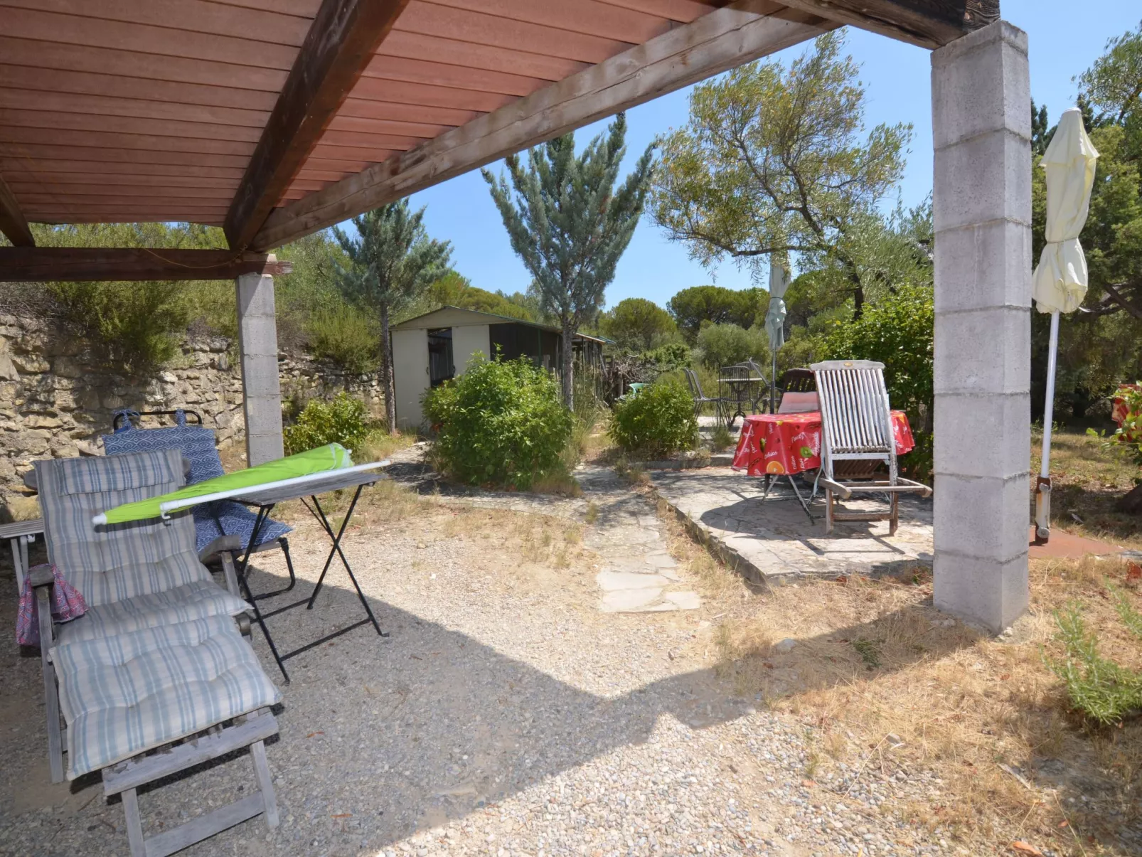 Die kleine Zikade-Dehors