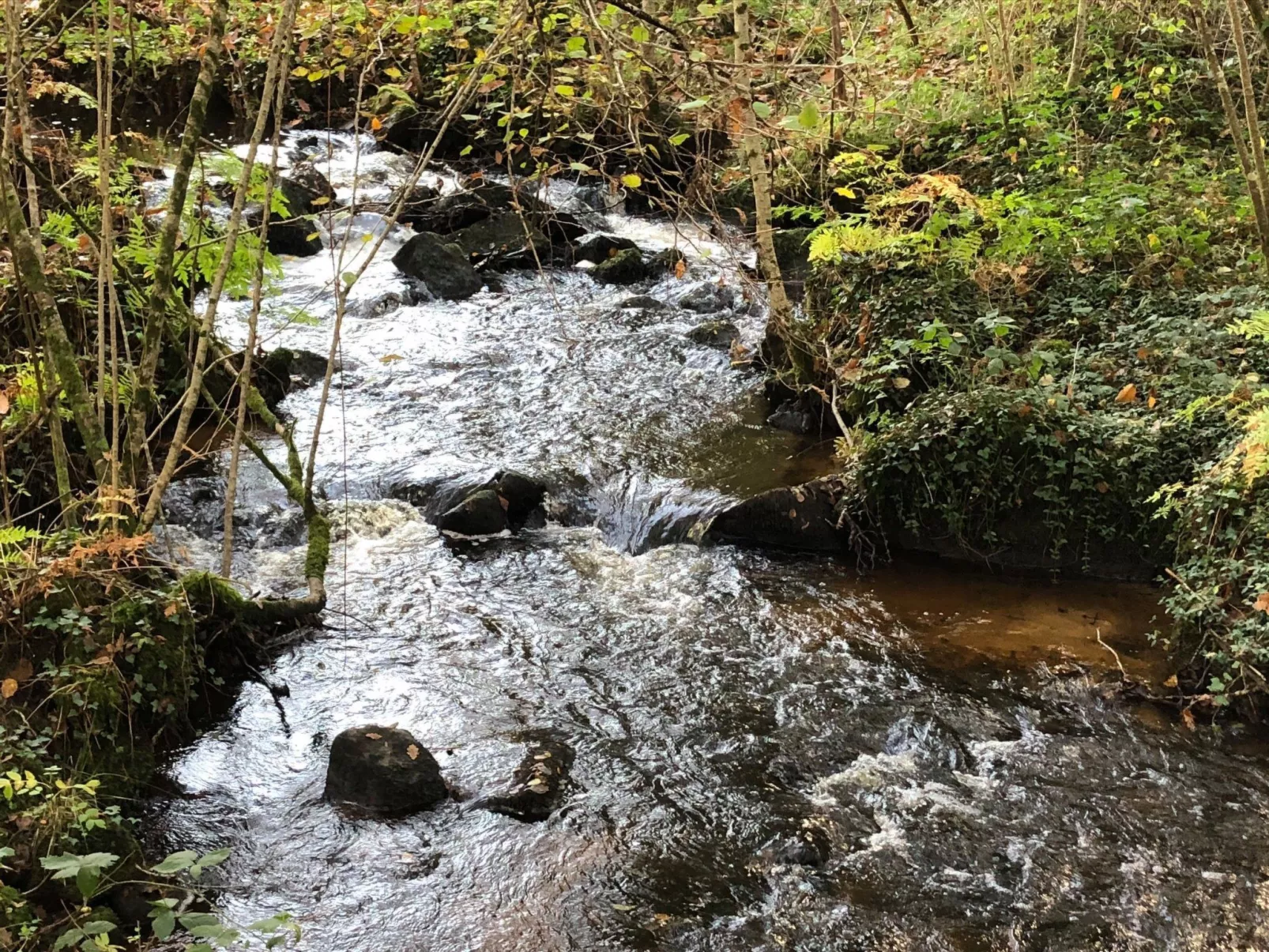 Direkt am Strand-Outside