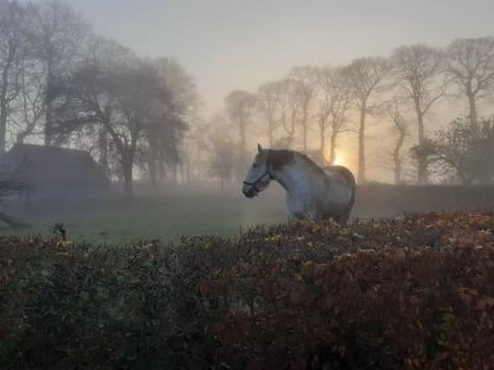 Neues normannisches Ferienhaus mit Charme die Kastanienbäume-Outside