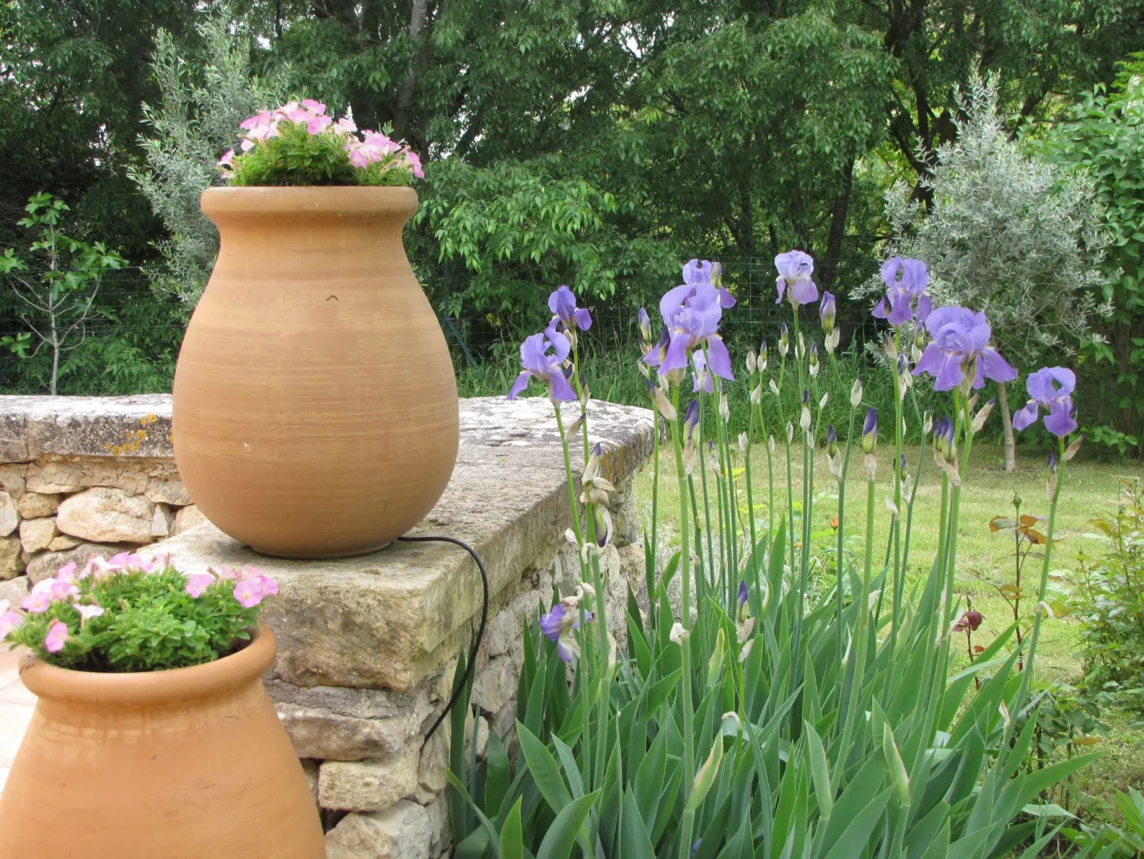 "Eutherpes Haus"-Draußen