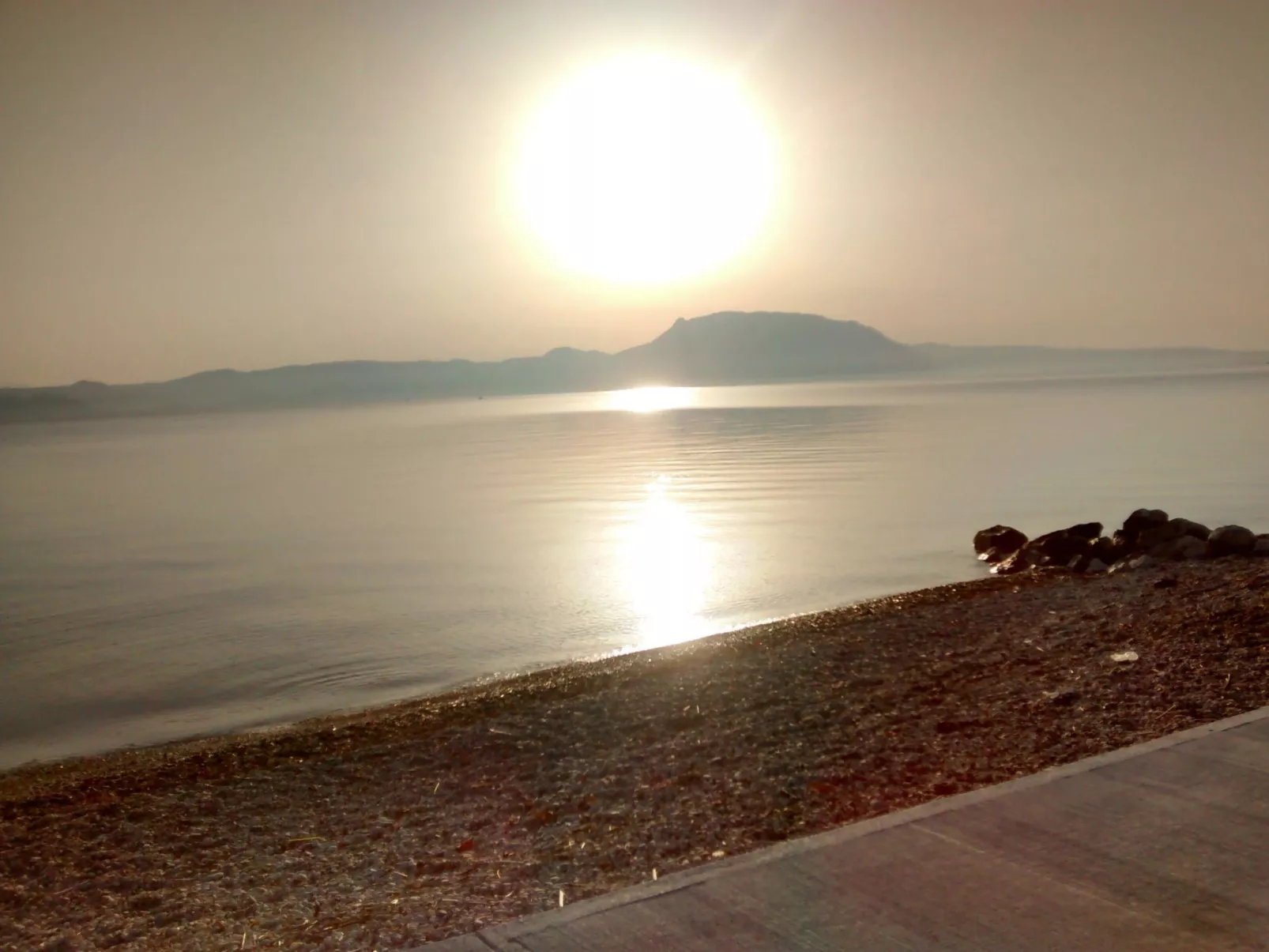 Neben Orangenbaum-Obstgarten-Outside