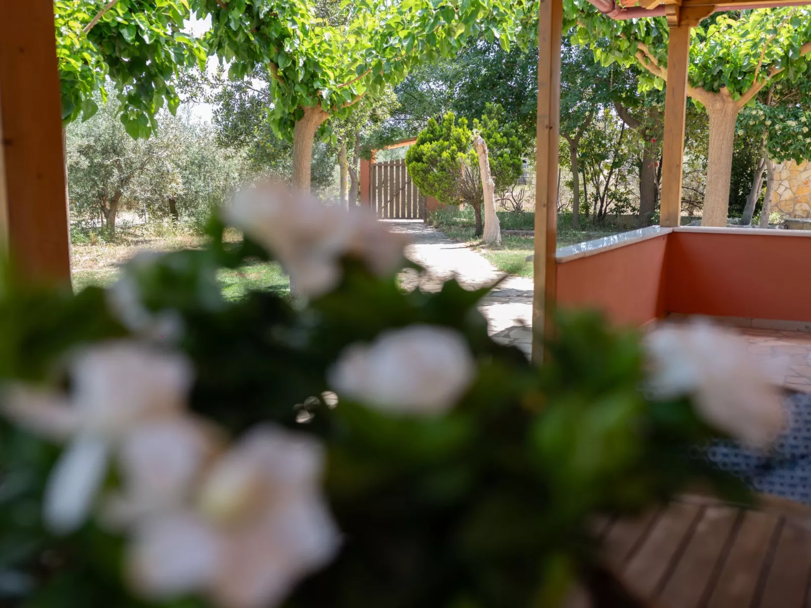 Wunderschönes Haus in Nea Tirintha mit privatem Parkplatz