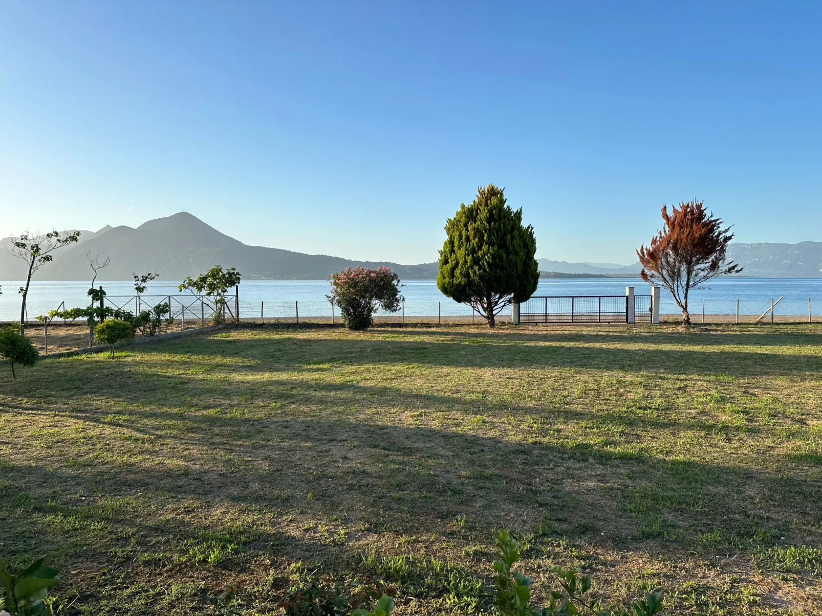 Tanjas Paradise-Dehors