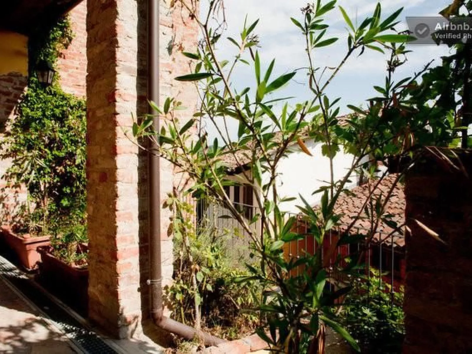 Vergissmeinnicht-Outside