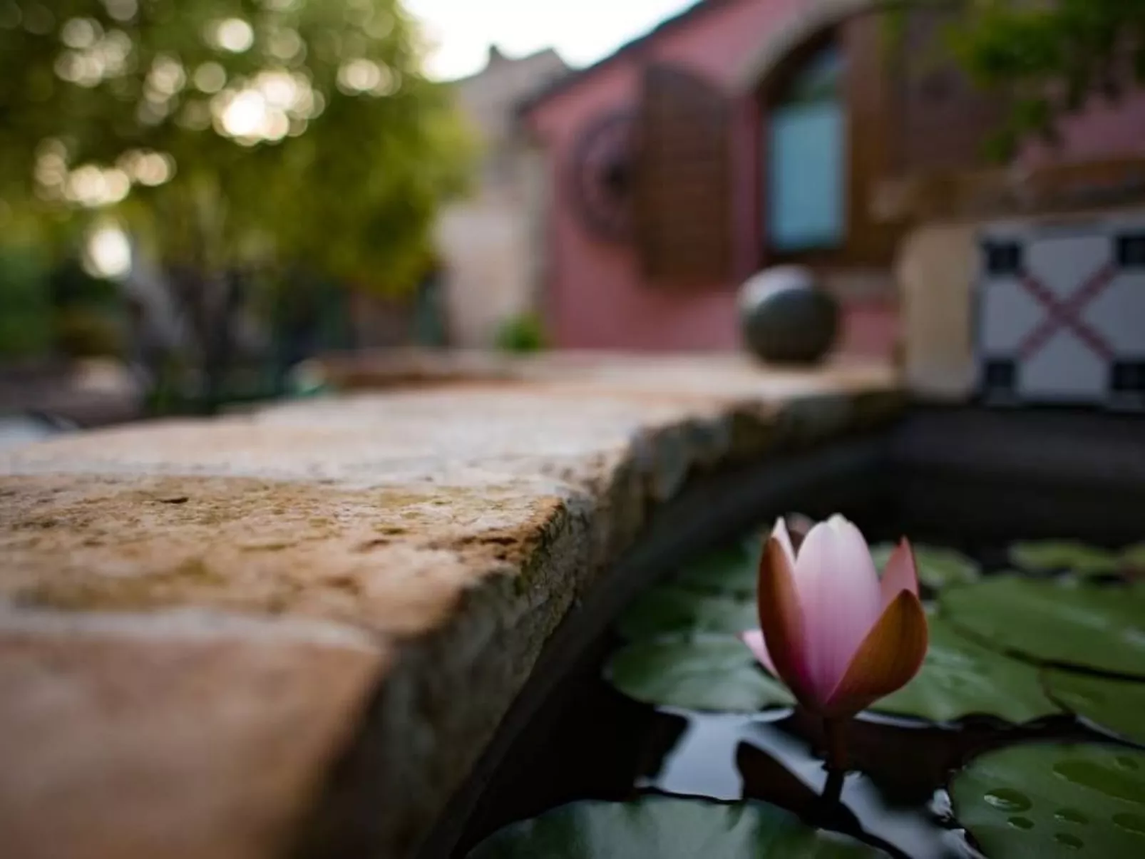 Villa mit Pool für 29 Personen ca. 800 m2-Dehors