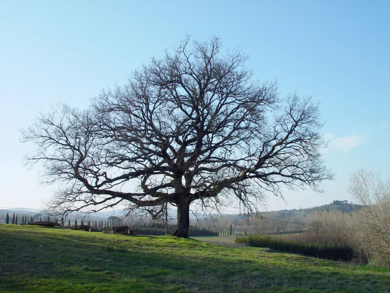 Wohnung in Sarteano mit Privatparkplatz-Draußen