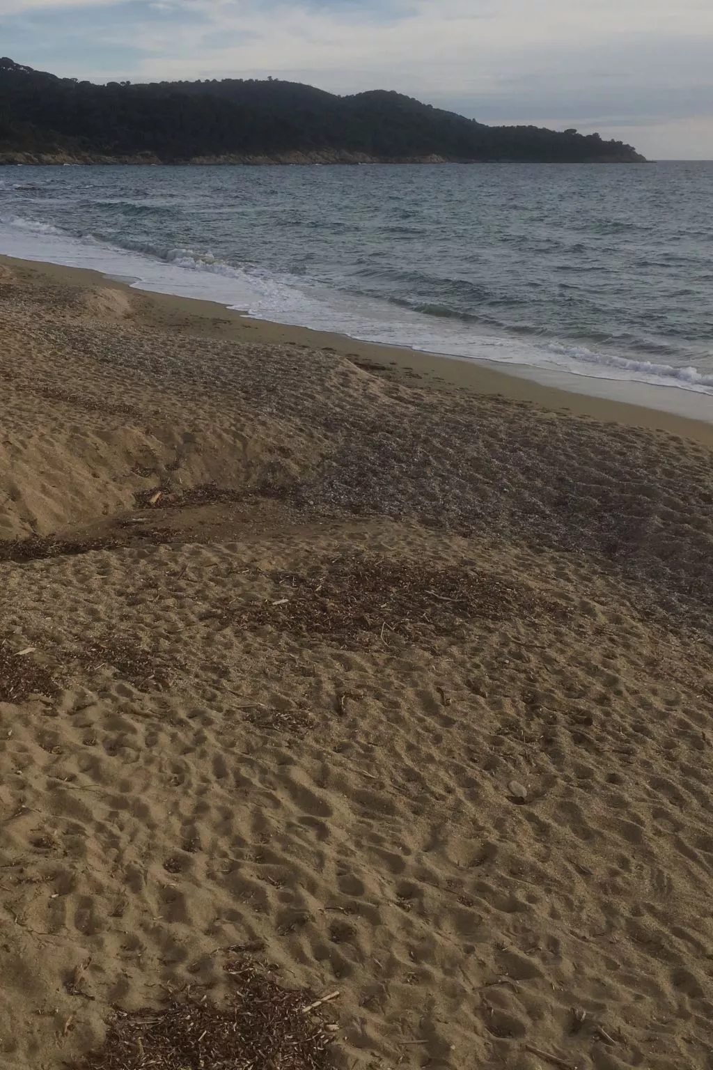 Wohnung mit Terrasse-Dehors