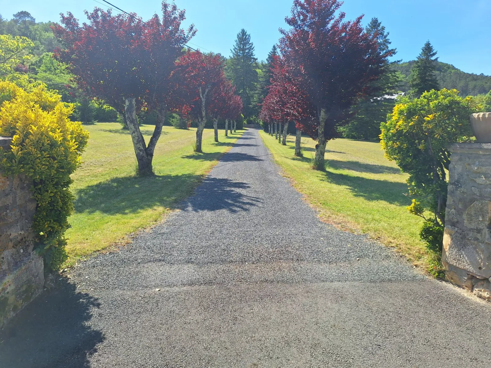 Im Périgord in Saint-Cybranet-Draußen