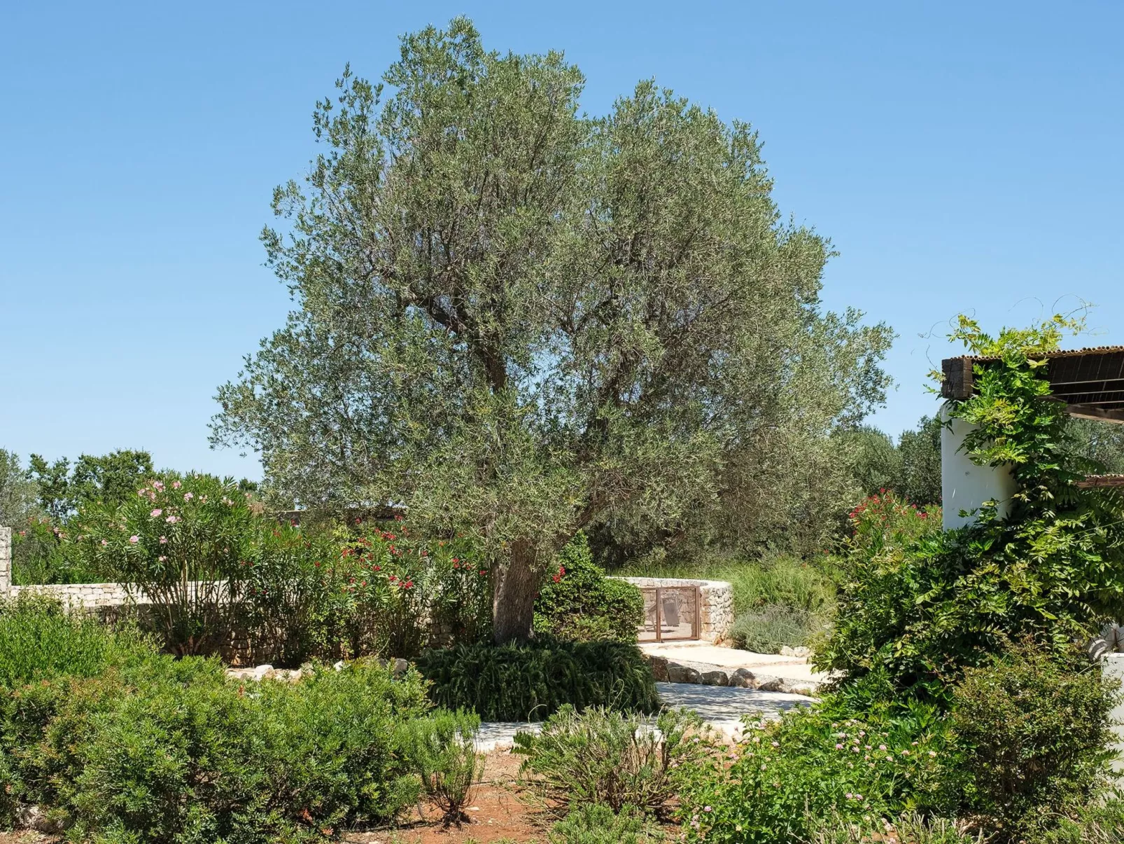 Mit Privatpool an der Adriaküste-Dehors