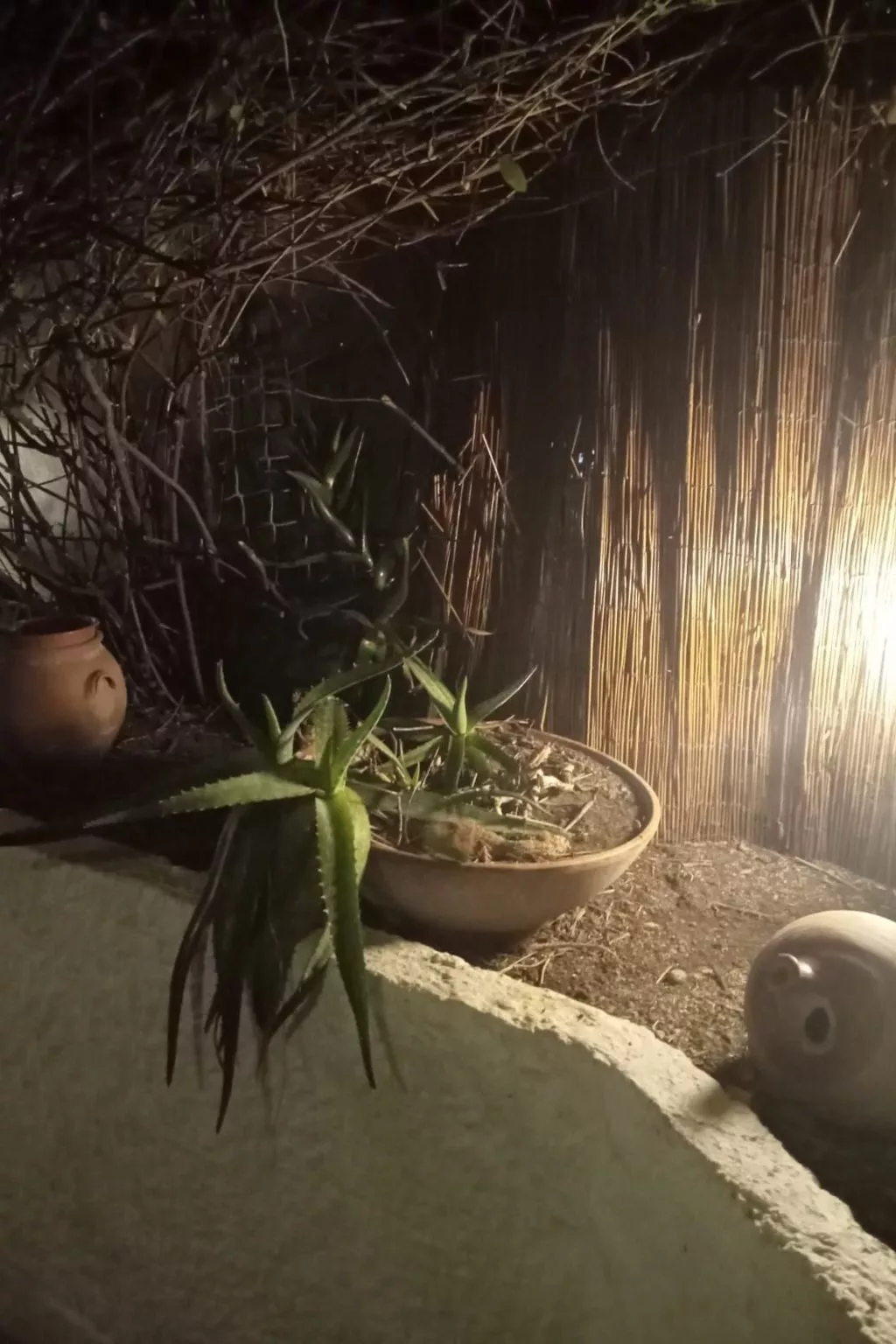 Entspannung am Meer in der Nähe von Neapel-Image-tags.info