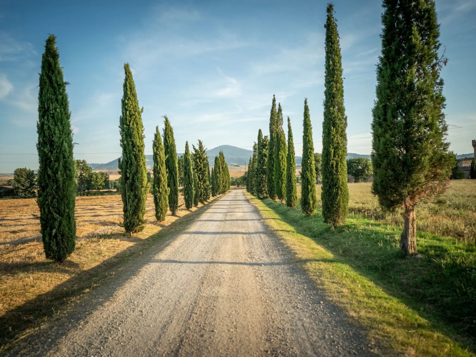 Tenuta "Podere Osteria"-Dehors