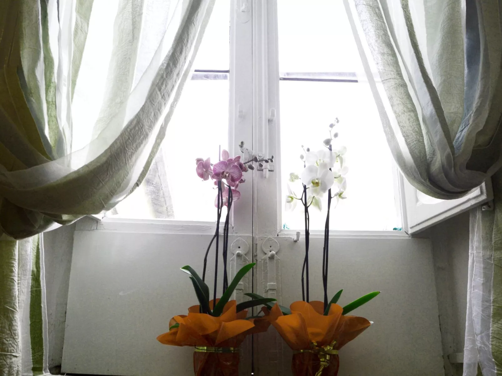 Für 10 Personen ca. 250 m&sup2; in Caltagirone, Sizilien (Provinz Catania)-Dedans