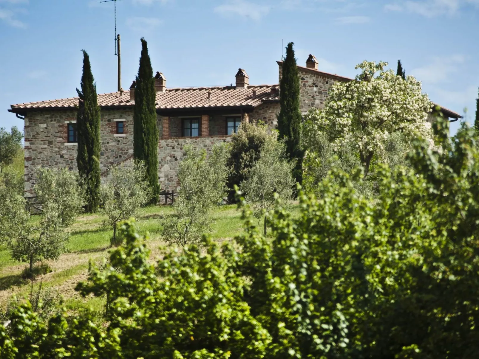 'Rosa' mit Pool-Outside