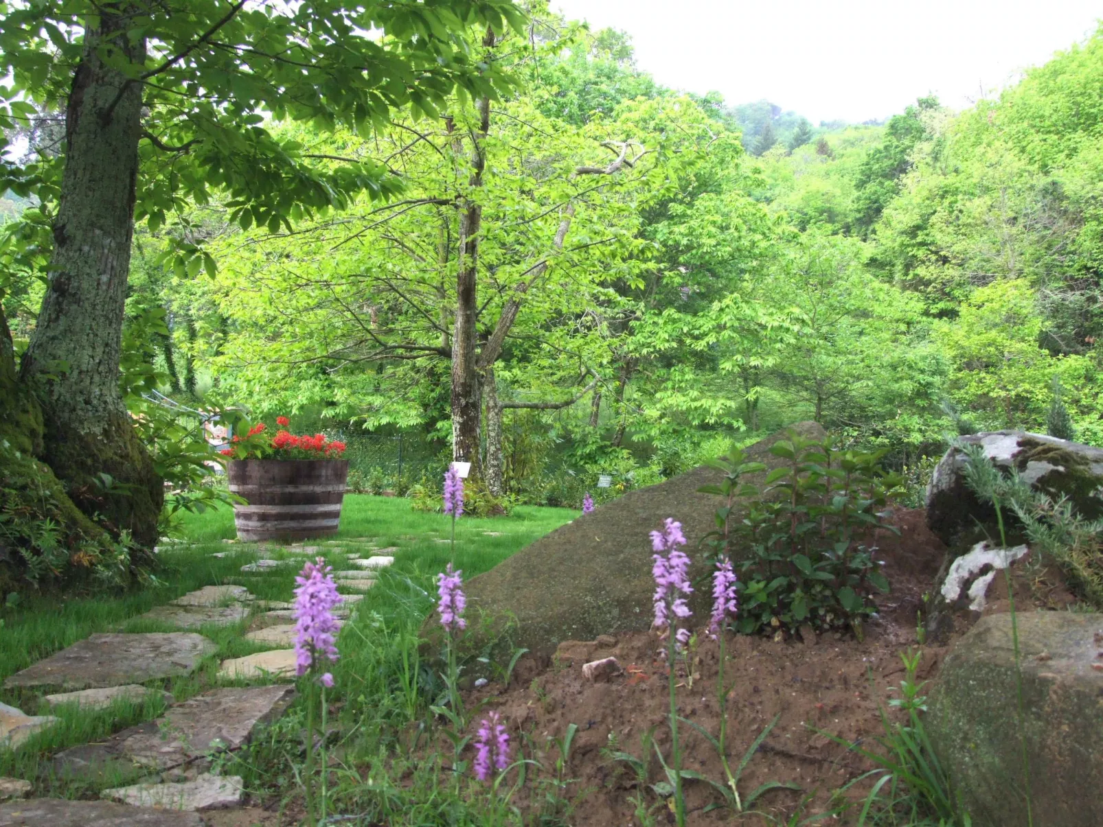 La Dalia' Wohnung mit Gemeinschaftspool-Draußen