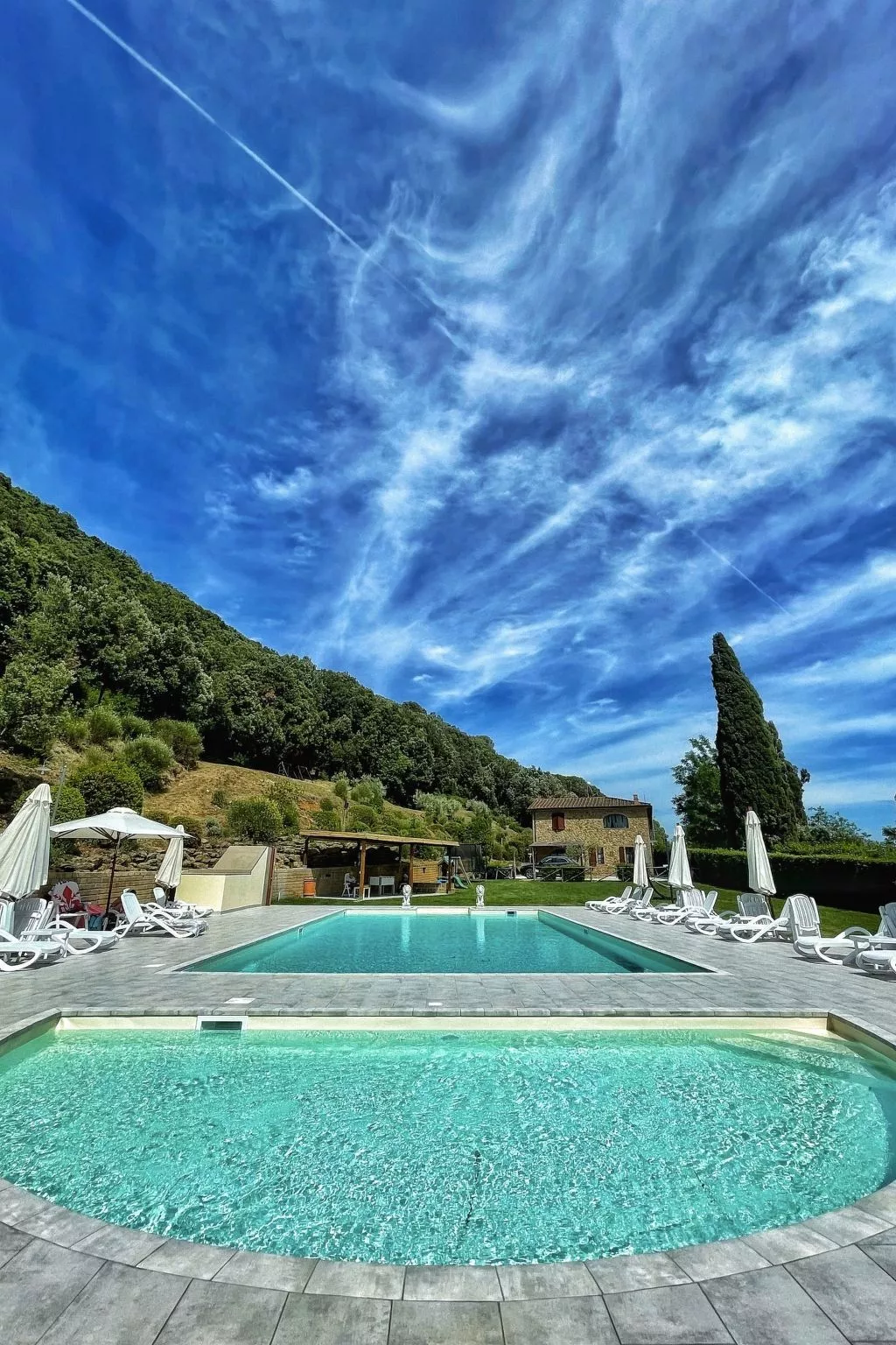 'Calla-Image-tags.info