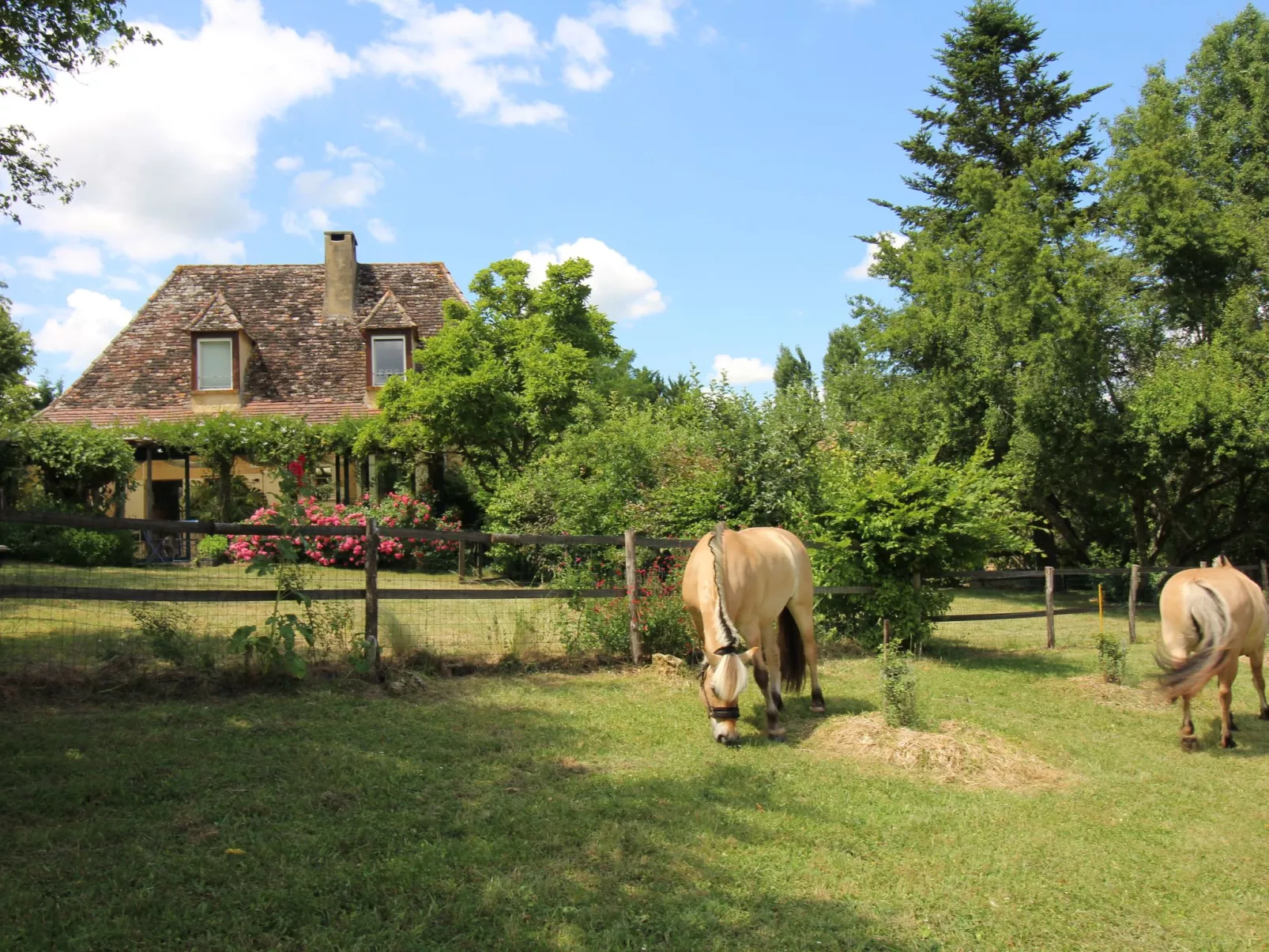 Haus mit Charme Komfort Ruhe Privatpool-Draußen