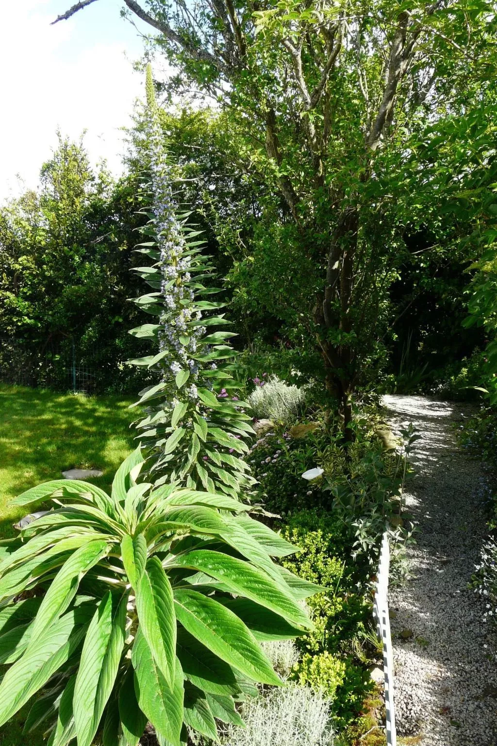 Mit Blick auf das Wasser-Outside
