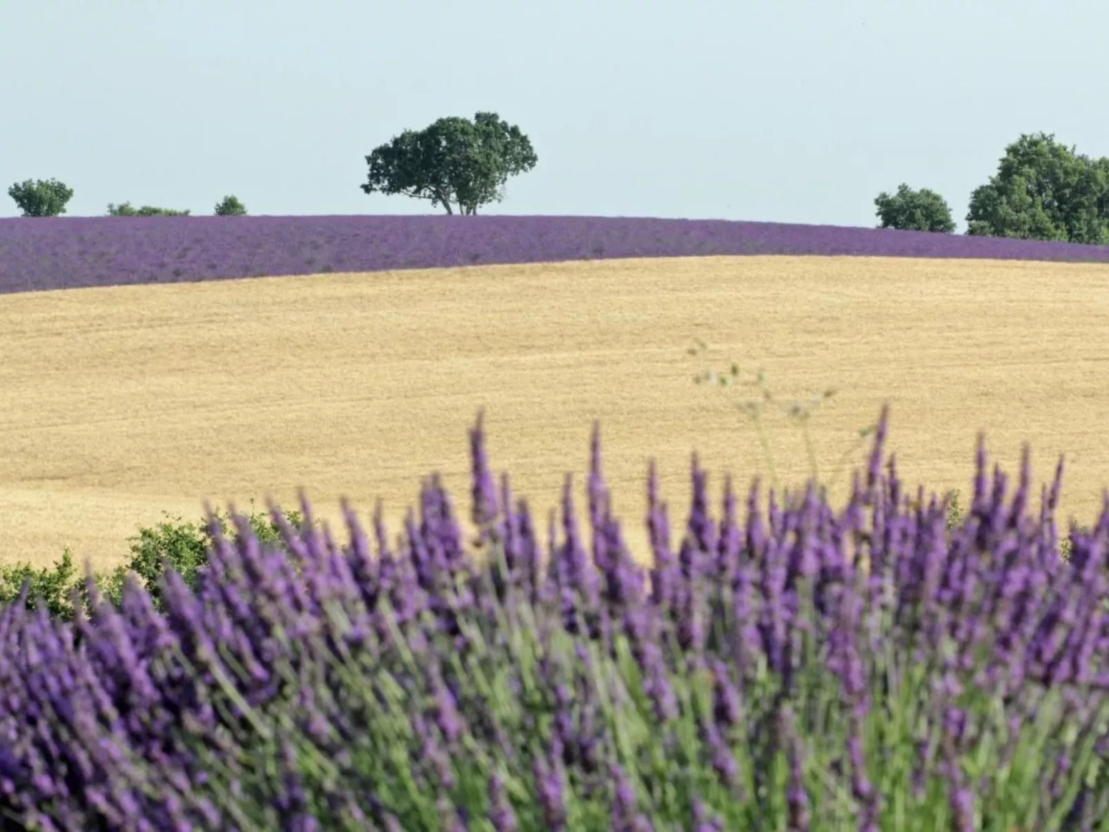 Maison Hascher-Image-tags.info