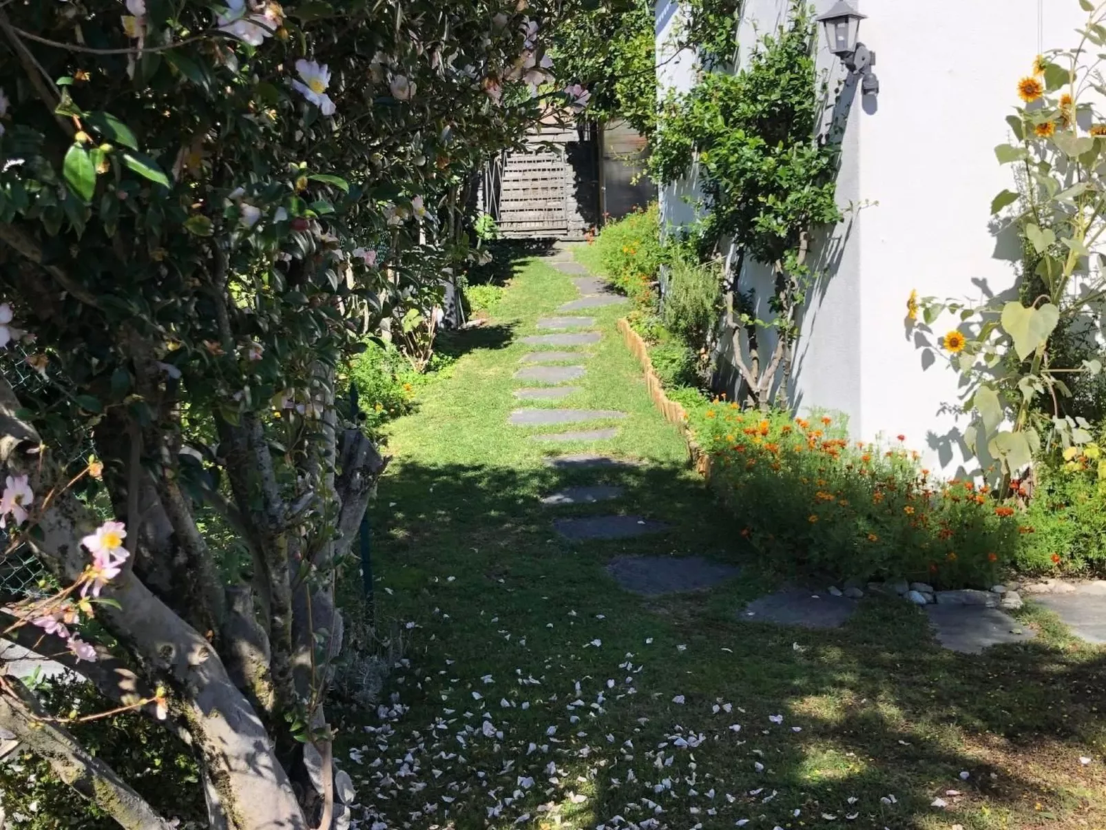 Casa Tintinnio-Draußen