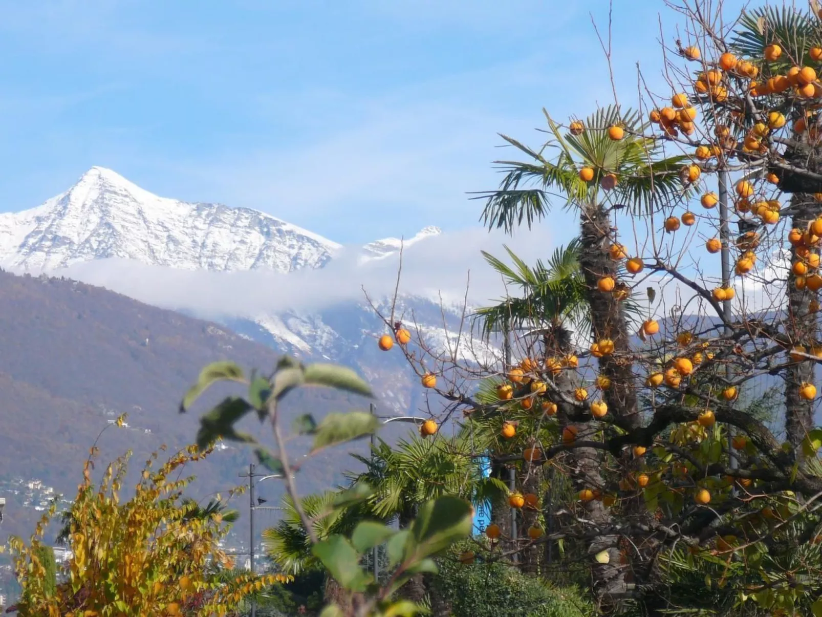 Casa Adelizia-Image-tags.info