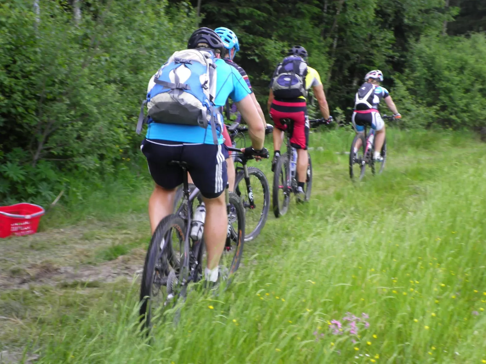 Am Weißenstädter See-Draußen