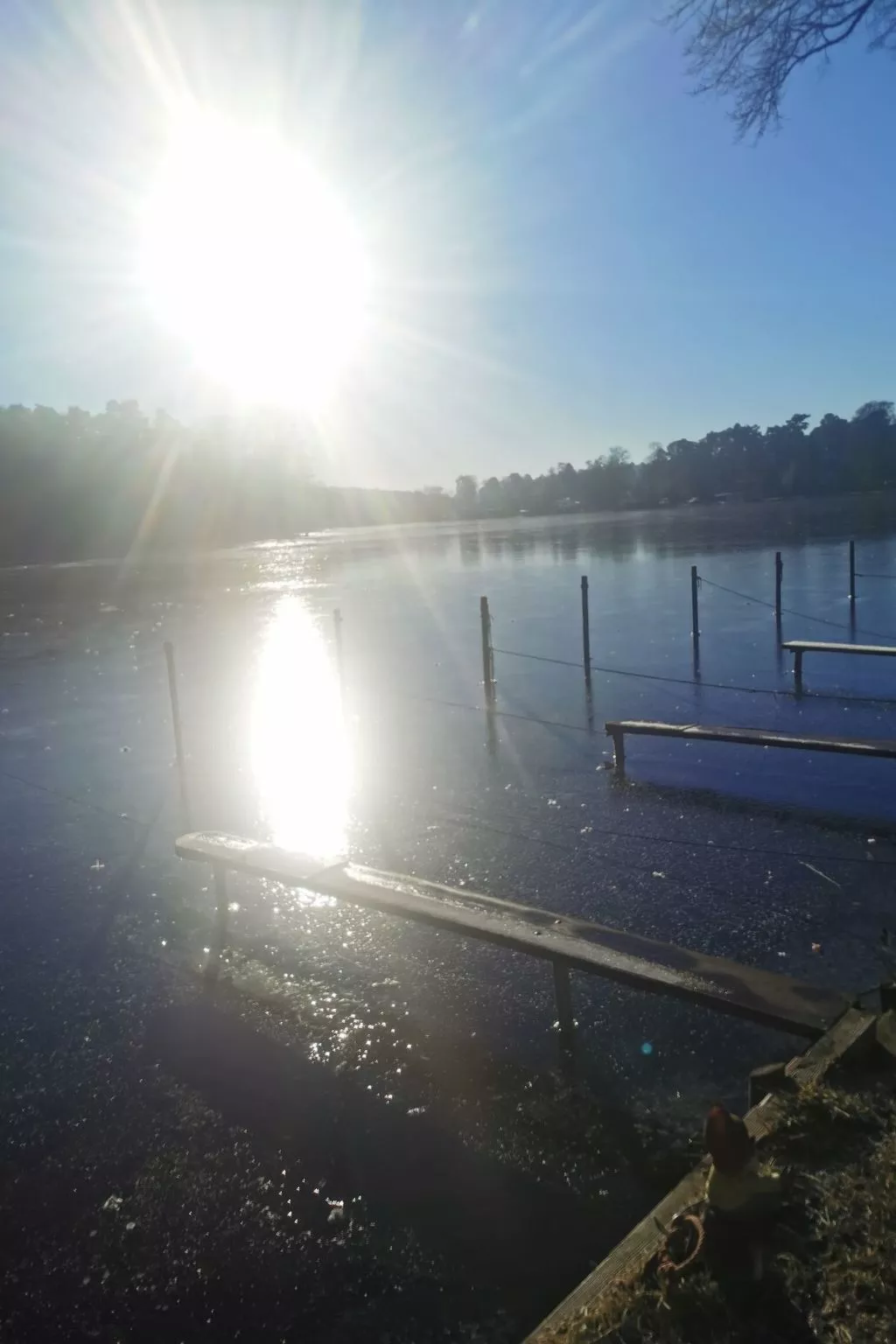 In Müggelheim mit eigener Terrasse-Draußen