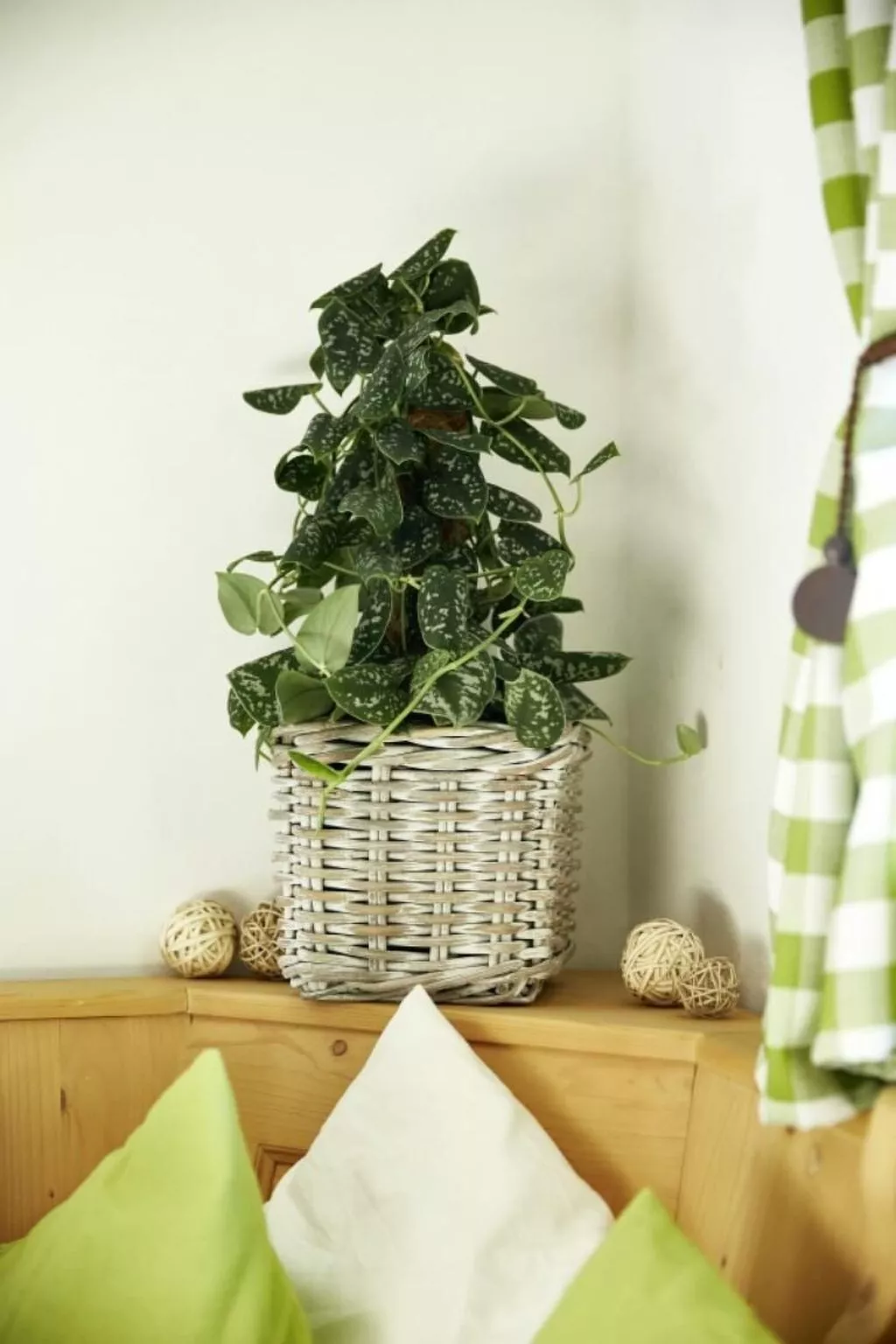 Auhäusl in Mittersill-Inside