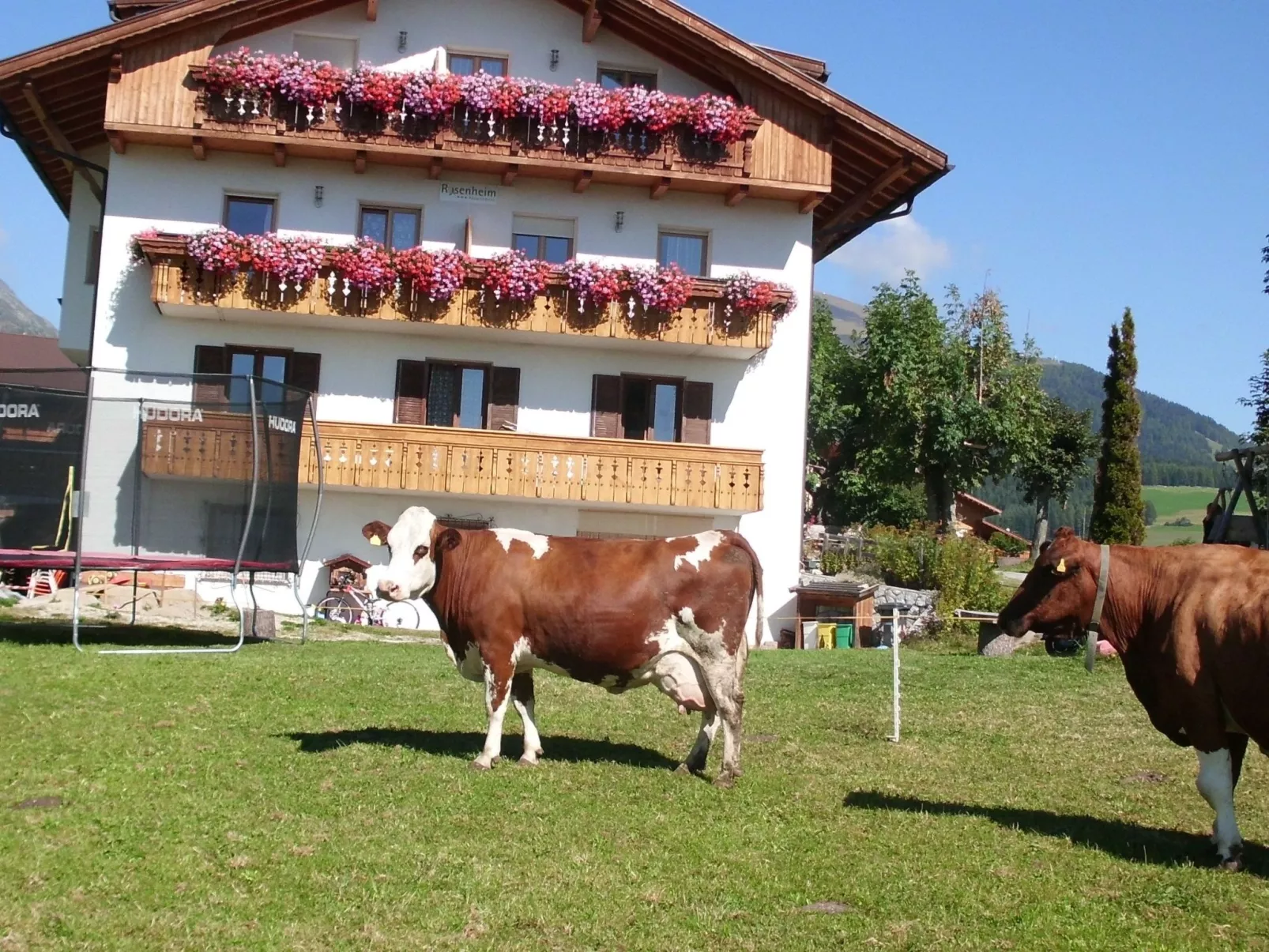 Rosenheim Appartement 2-Dehors