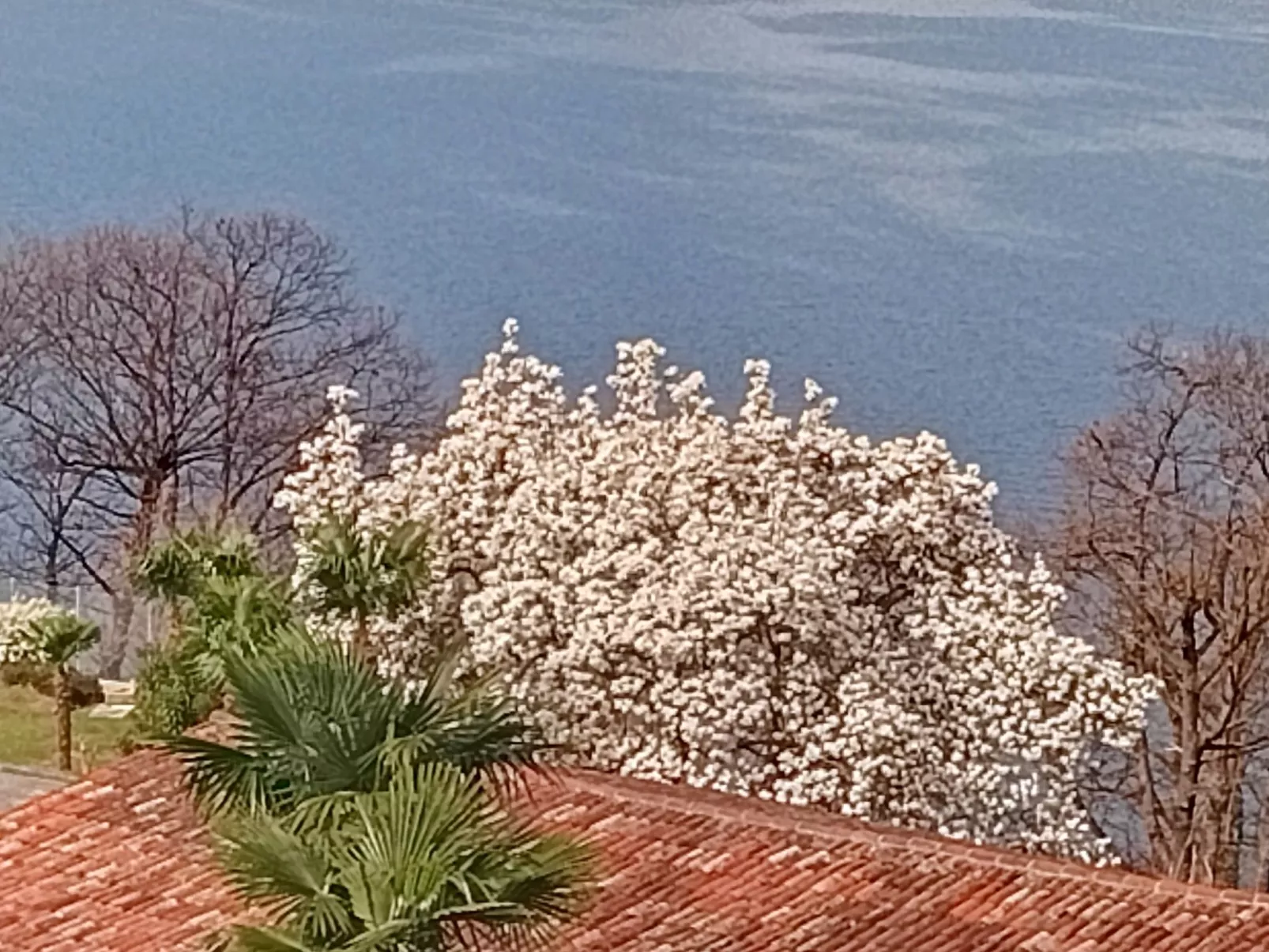 Residenza Viramonte - Casa Fiona, Wohnung 52 - Draußen