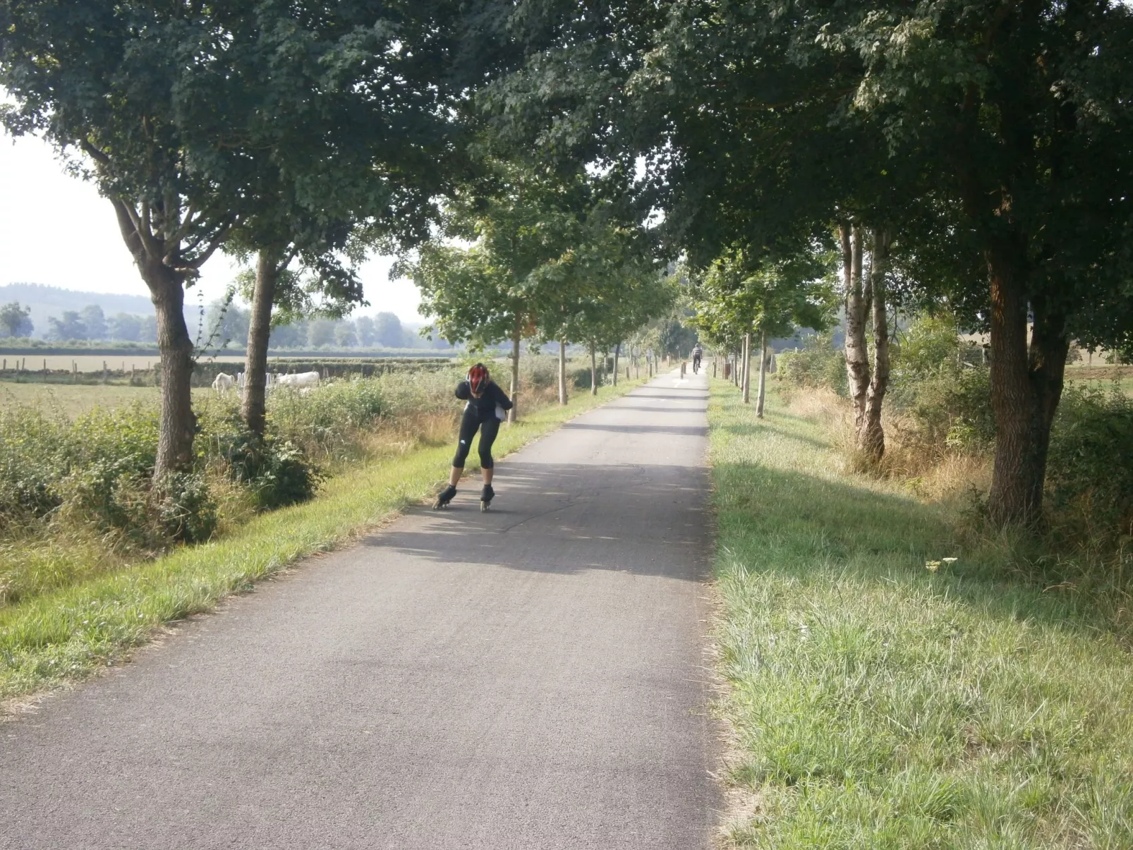 An der Weinstraße von Burgund-Image-tags.info