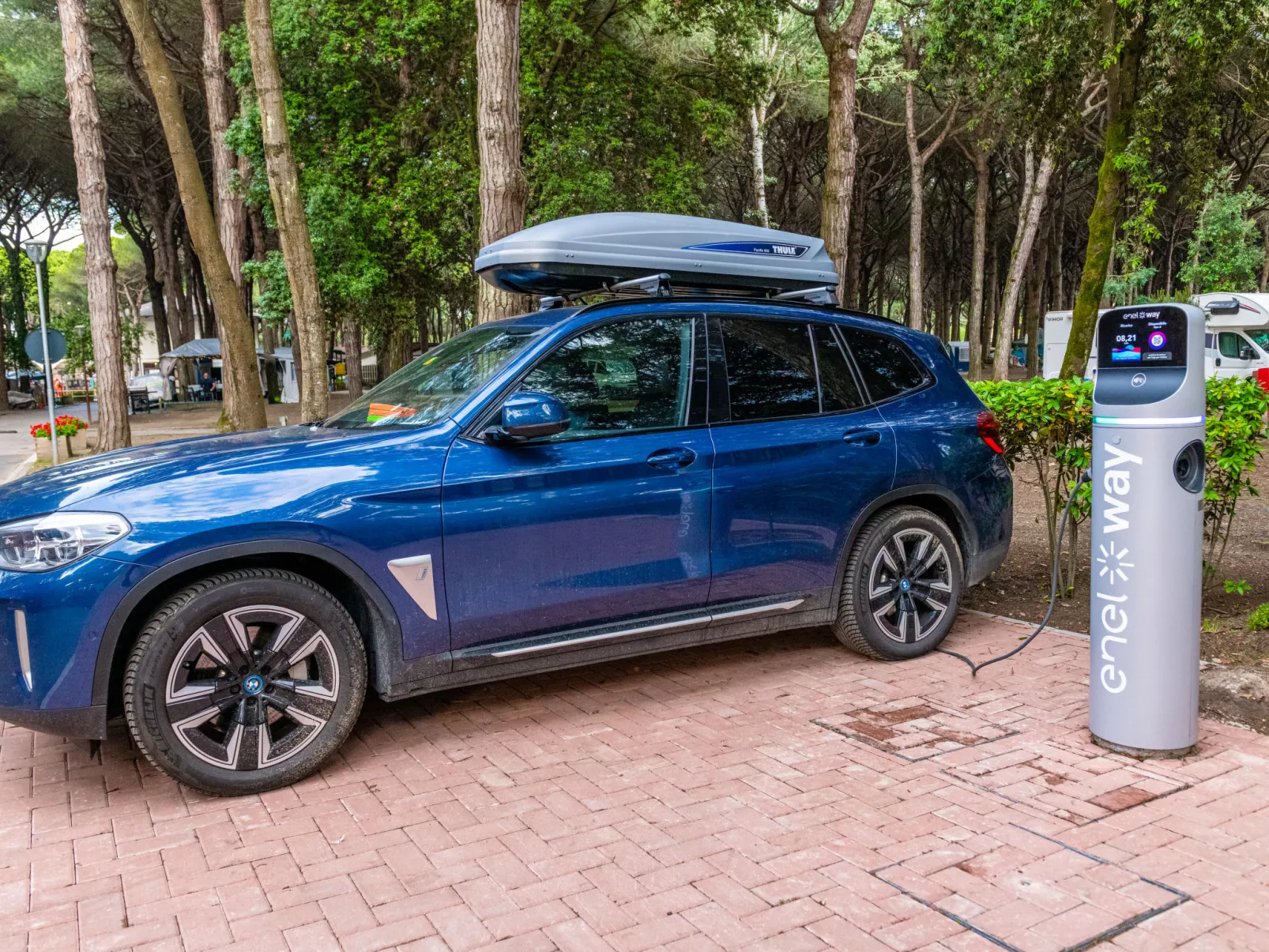 Mare e Pineta-Drinnen