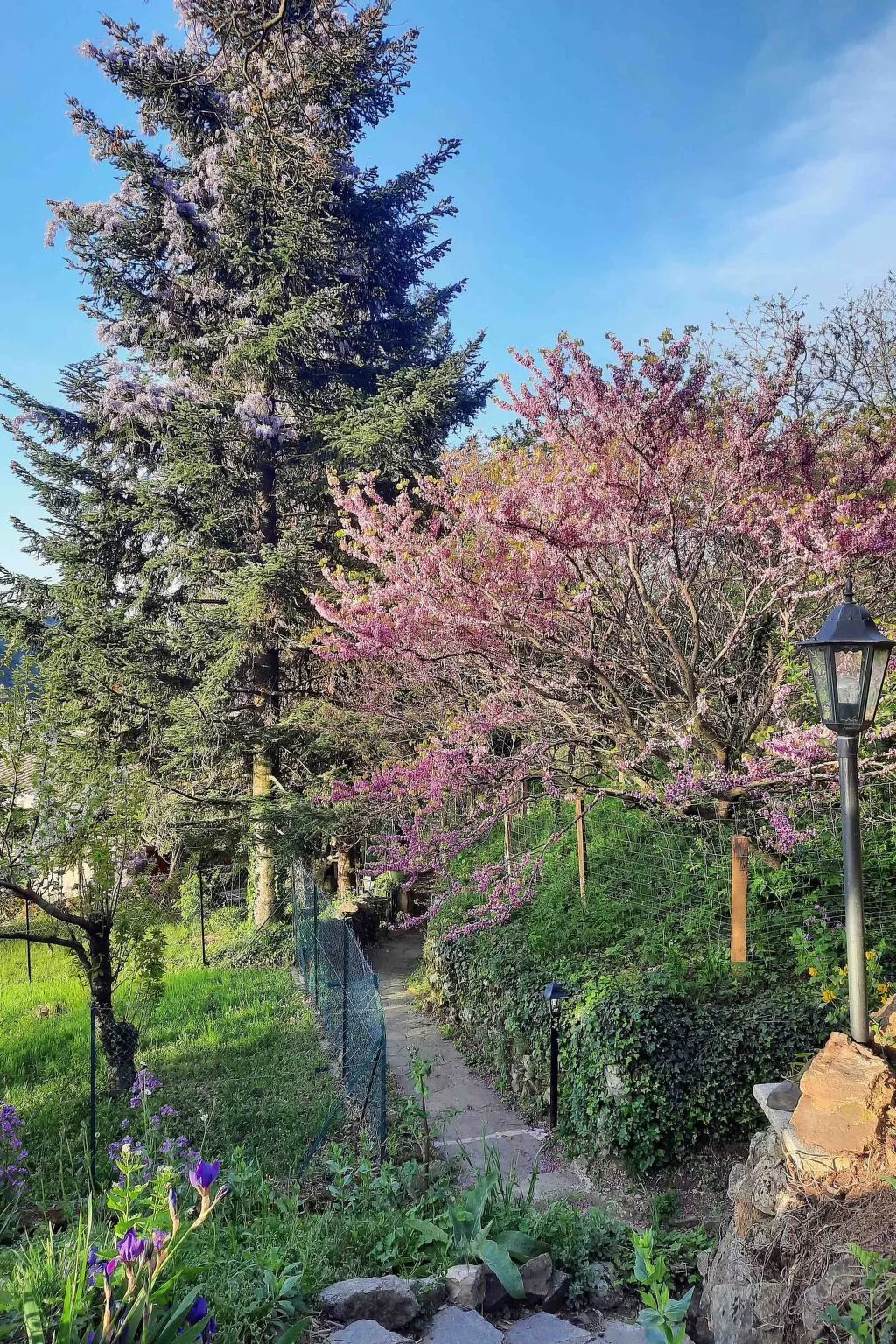 Klimatisiertes Ferienhaus mit Pool-Outside