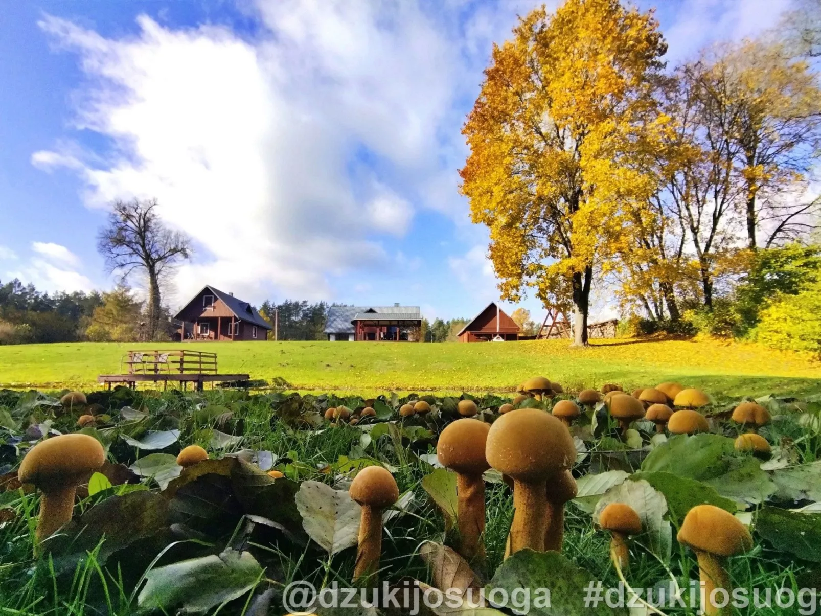 Charmante Waldvilla Dzukijos Uoga am See