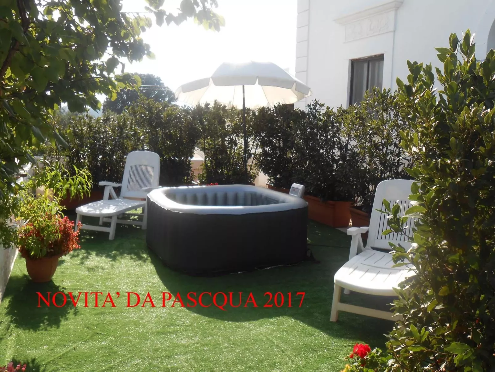 ARANCIONE-Image-tags.info