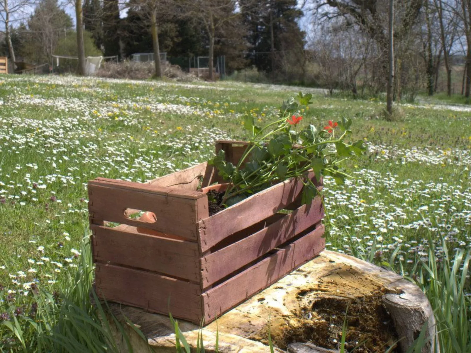 'Casa il Girasole'-Outside