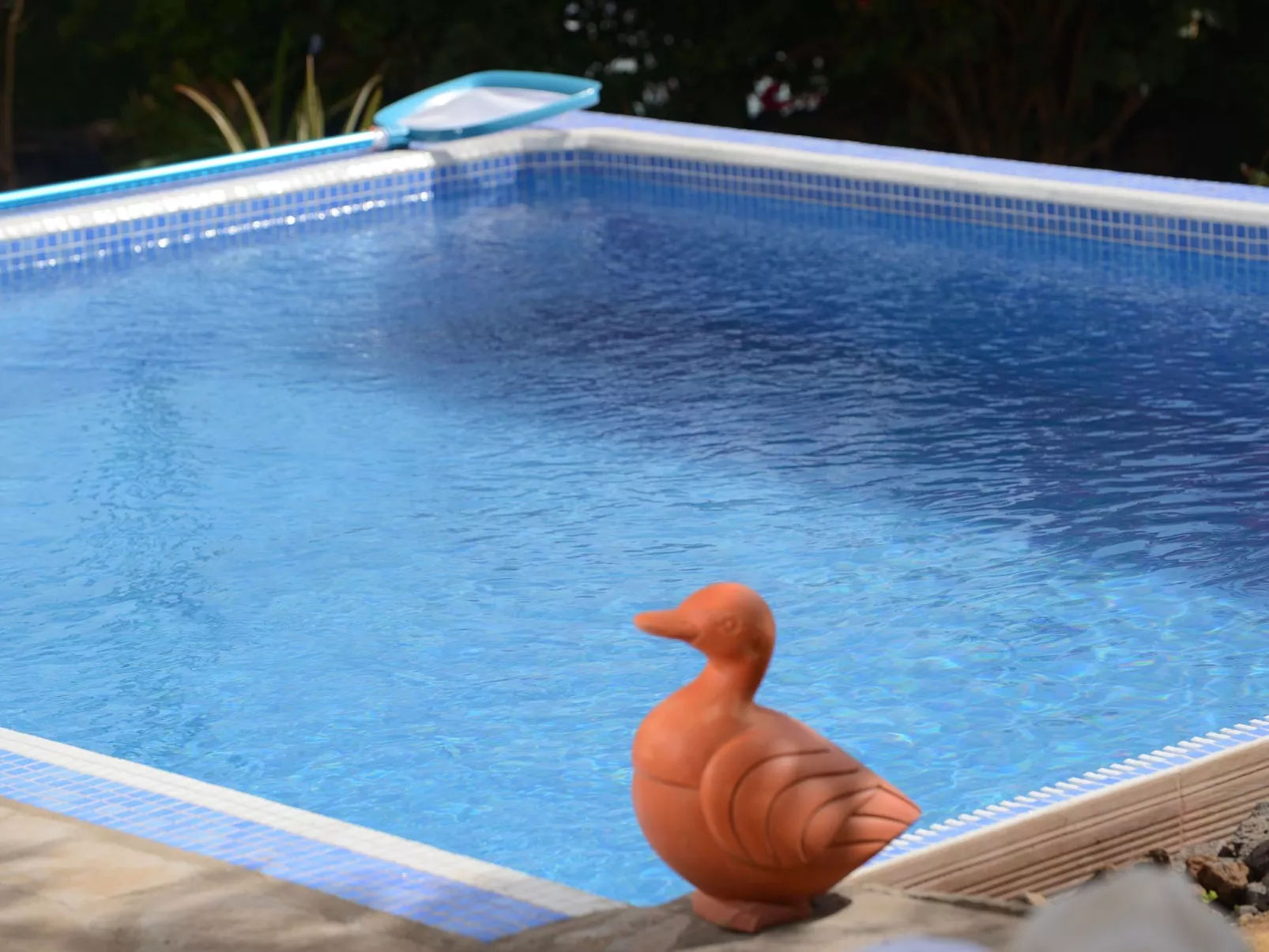 Mit Schwimmbad nur für Erwachsene-Draußen