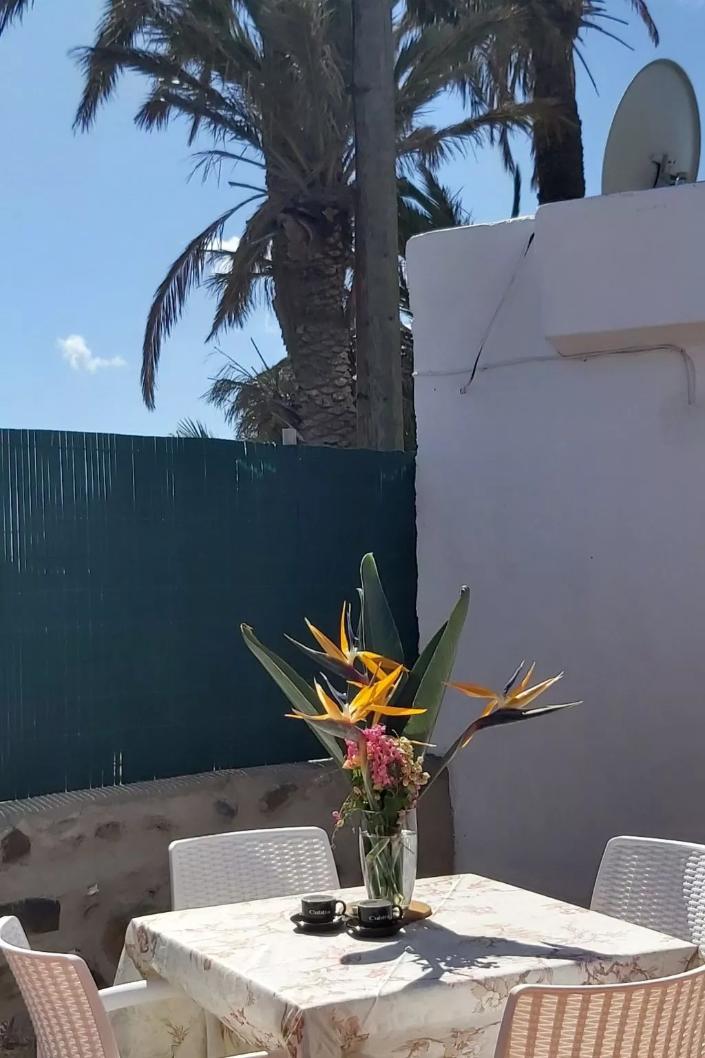 Finca Villa Clara 4-Outside