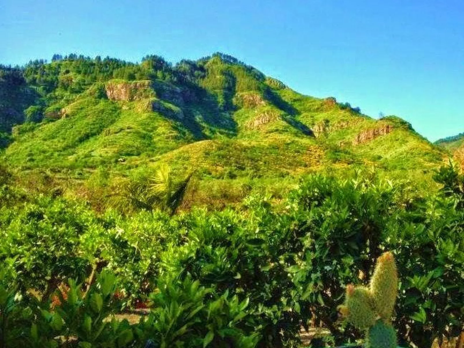 Finca mit Garten, Grill und Terrasse-Outside