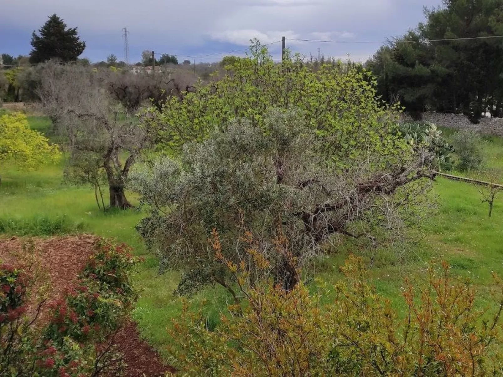 Villa Barone Landhaus mit Pool-Image-tags.info