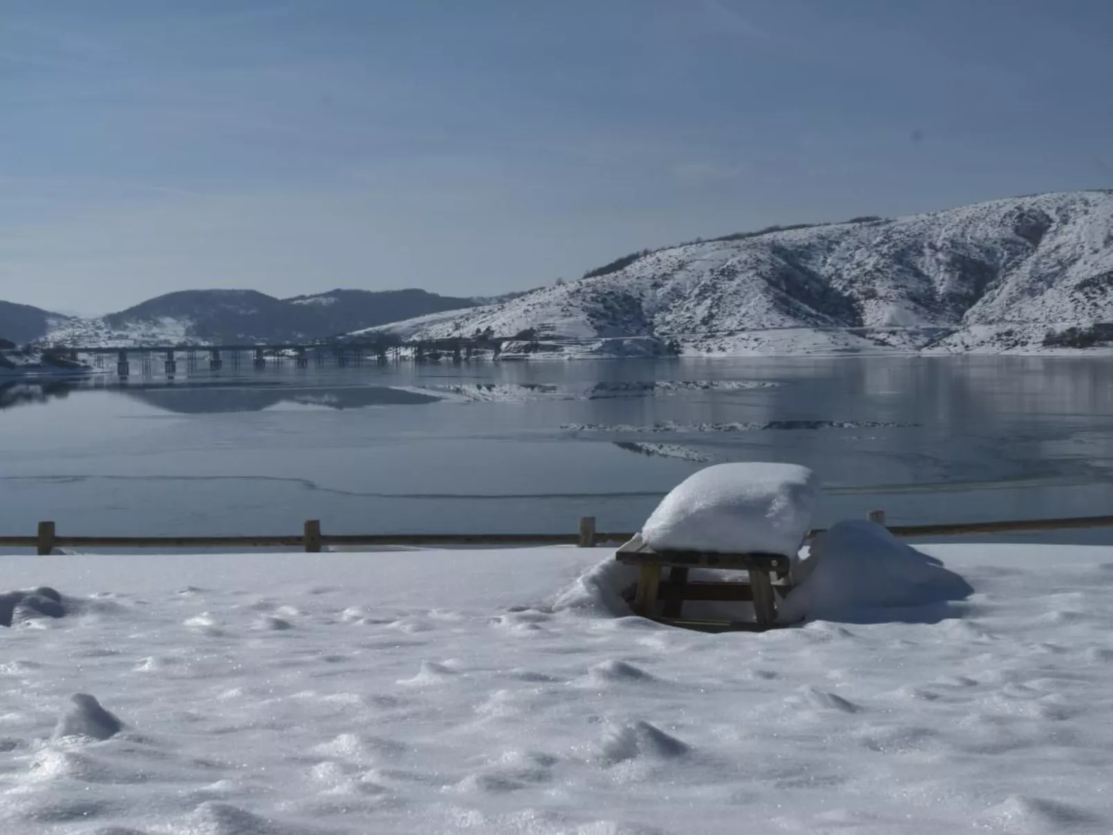 "Il Gufo"-Image-tags.info