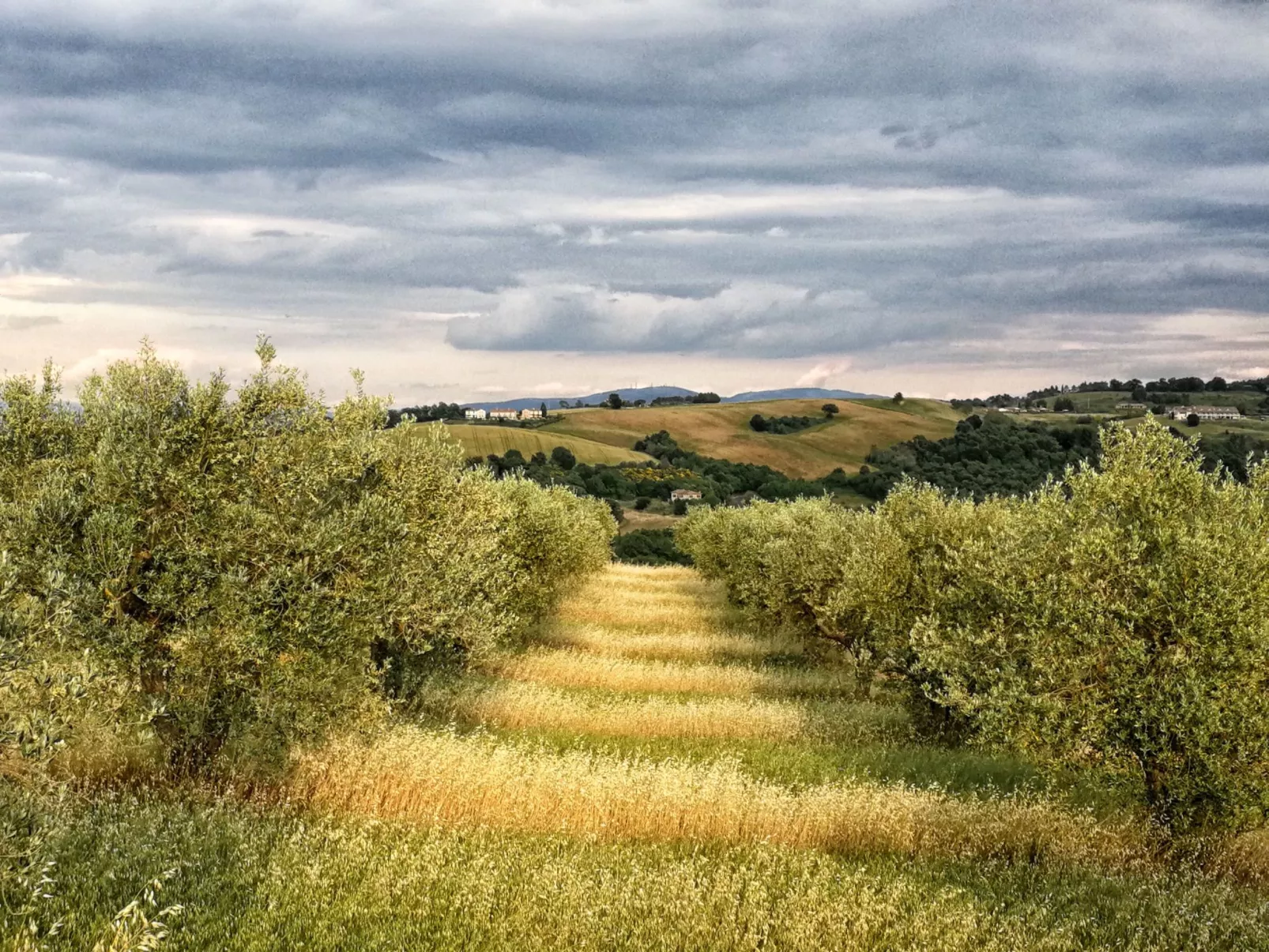 Das Walnusshaus-Dehors