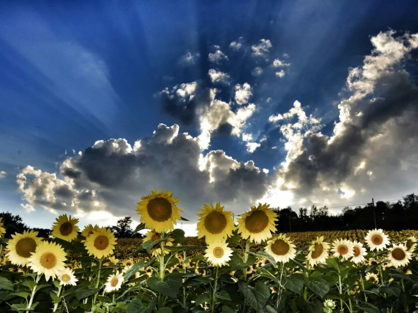 Il Melograno Panoramahaus-Dehors