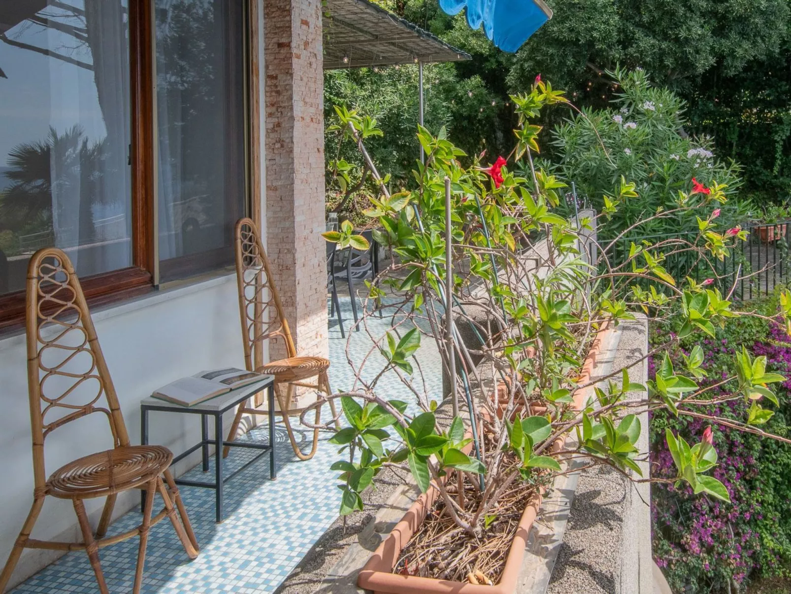 Insel Oasis Wohnung-Draußen