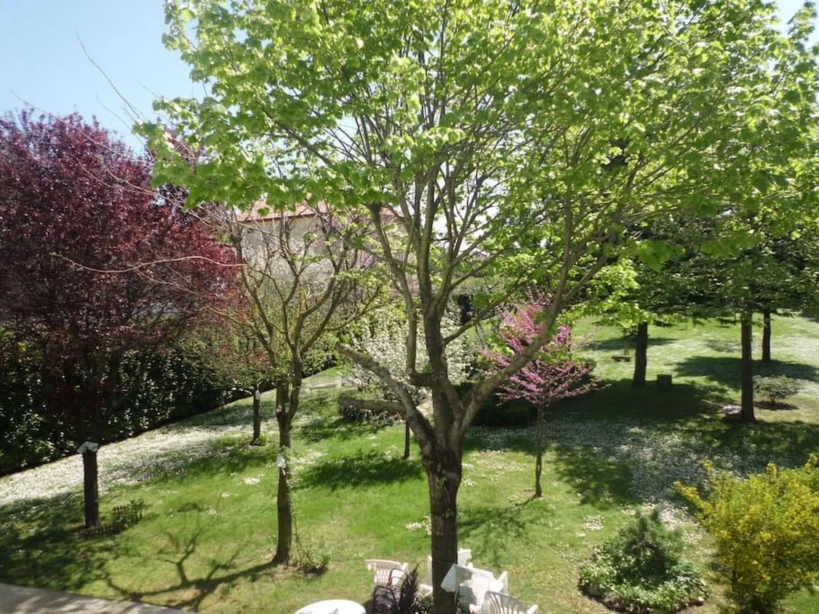 Wohnung mit Privatparkplatz-Dehors