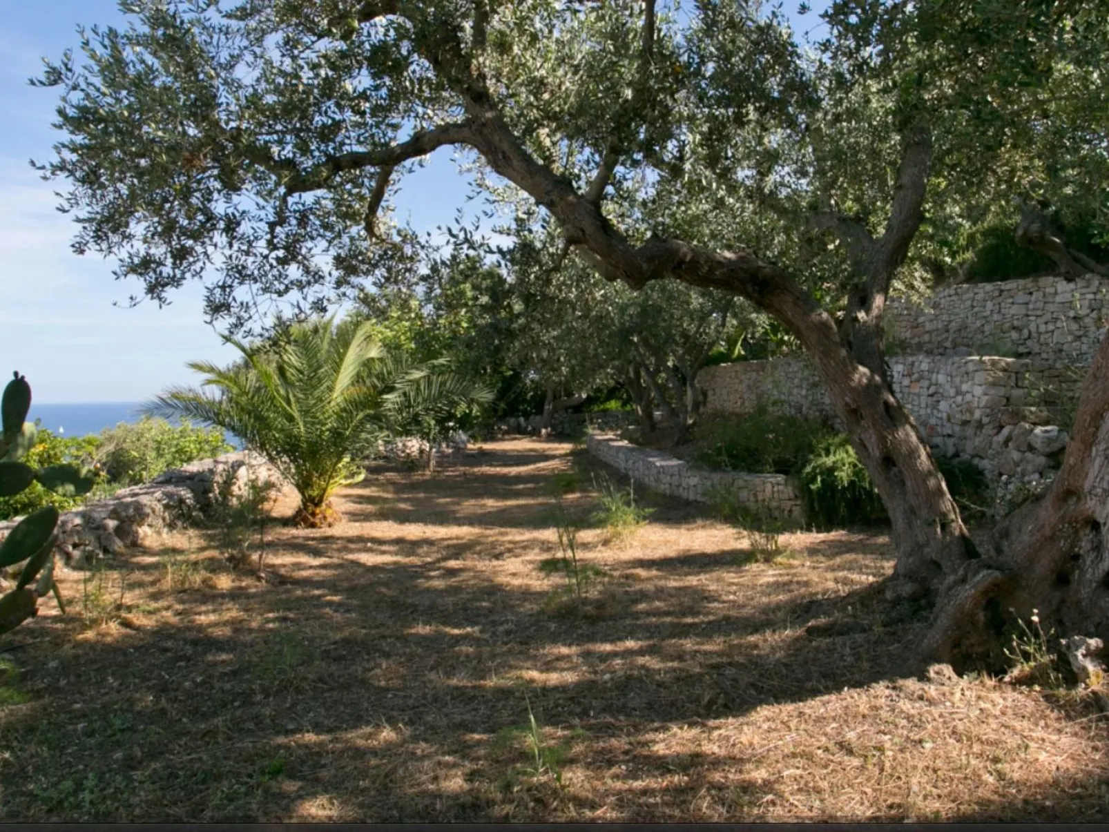 In Gagliano Del Capo mit Privatem Pool-Image-tags.info