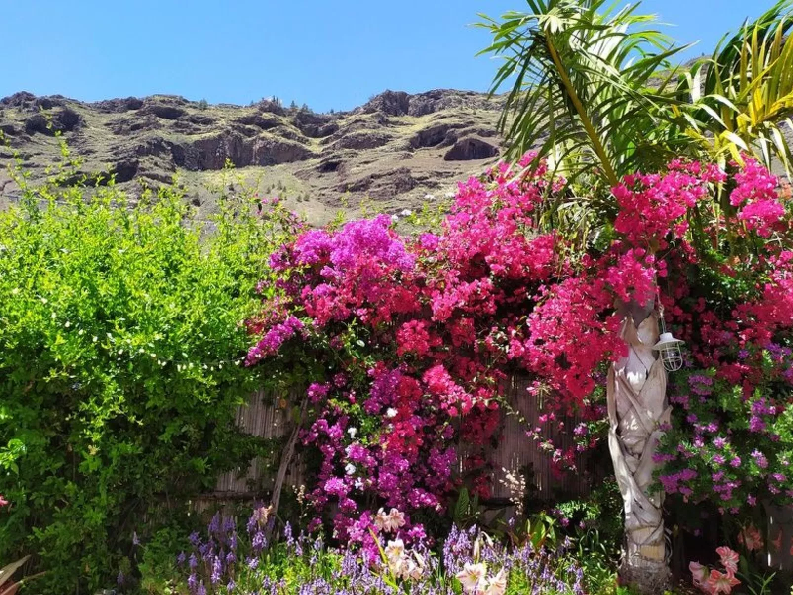 Haus Vista Caldera - Image-tags.info