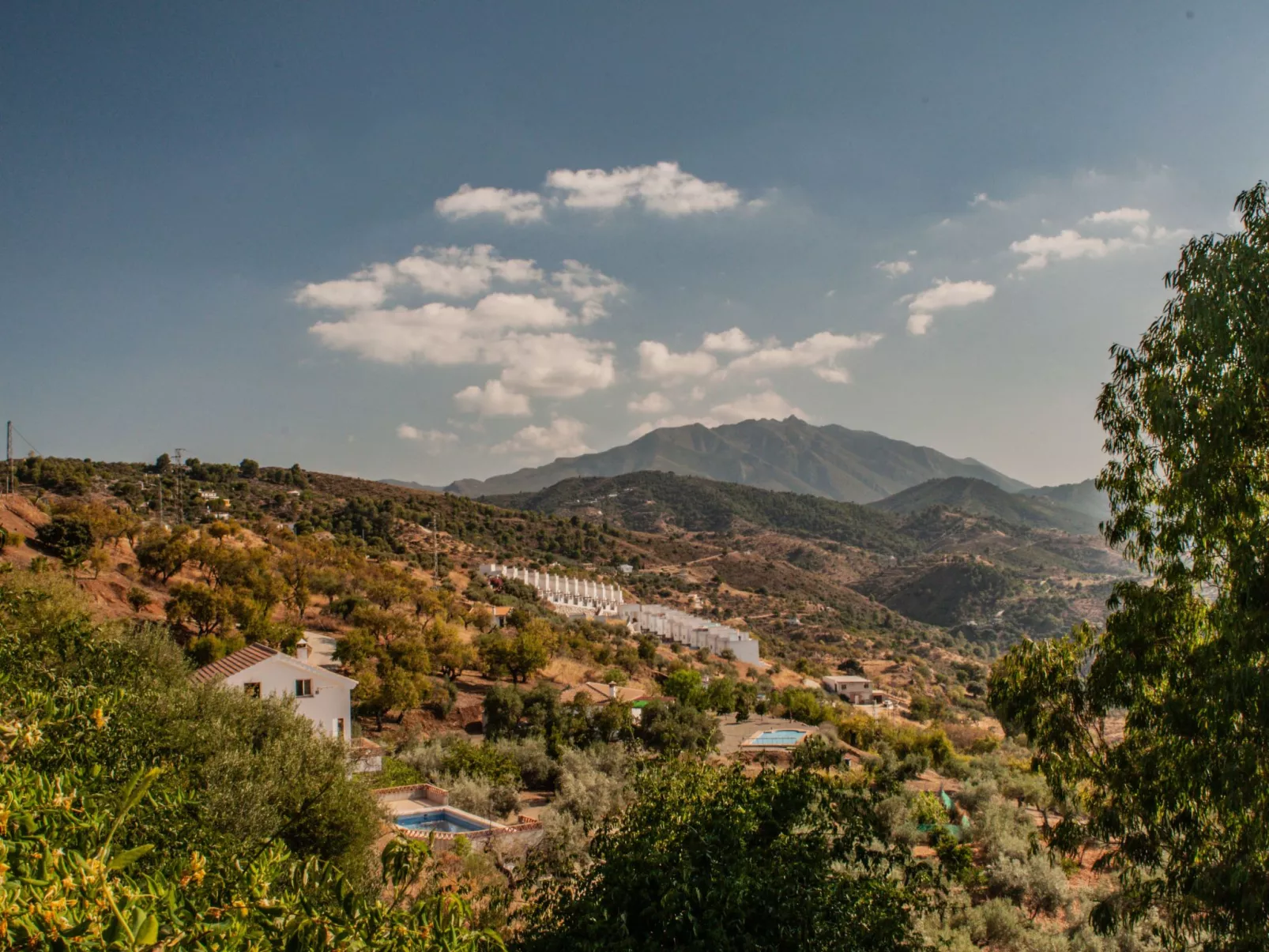 Seeadlerhorst-Draußen