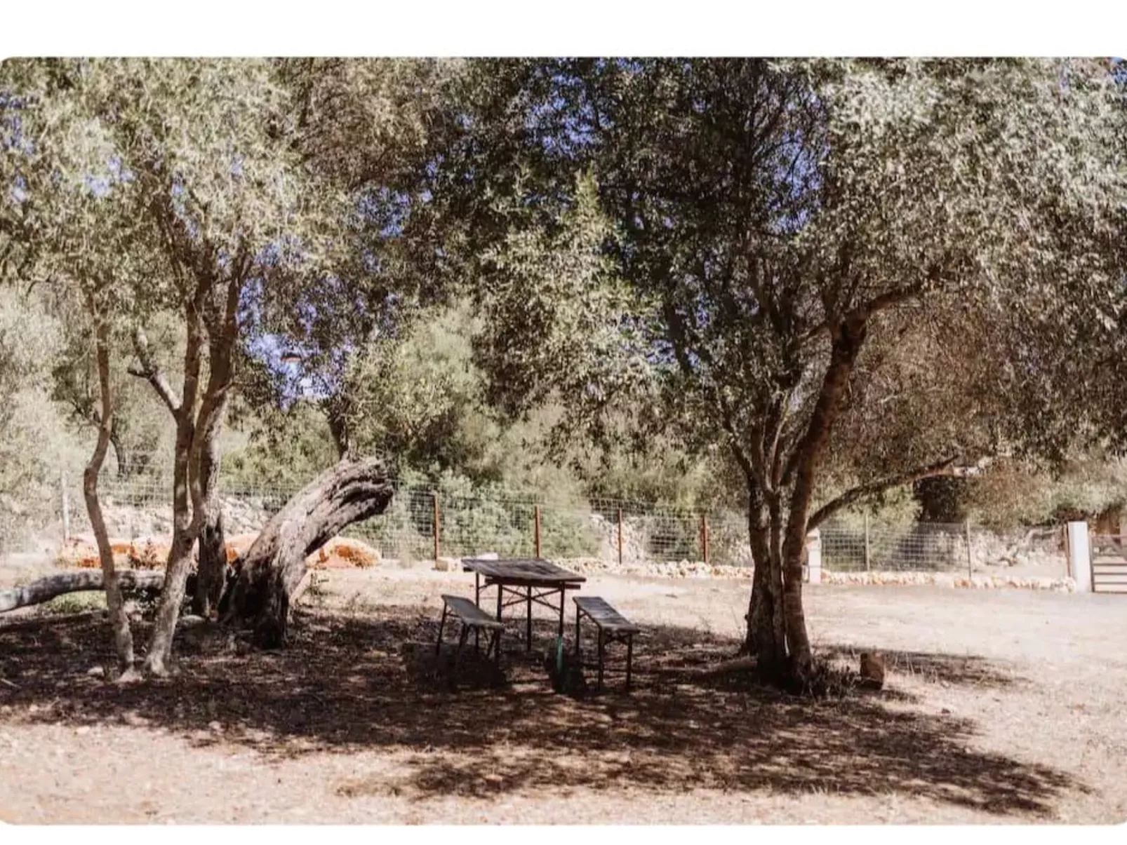 Mit eigenem Garten und Schwimmbad.-Image-tags.info